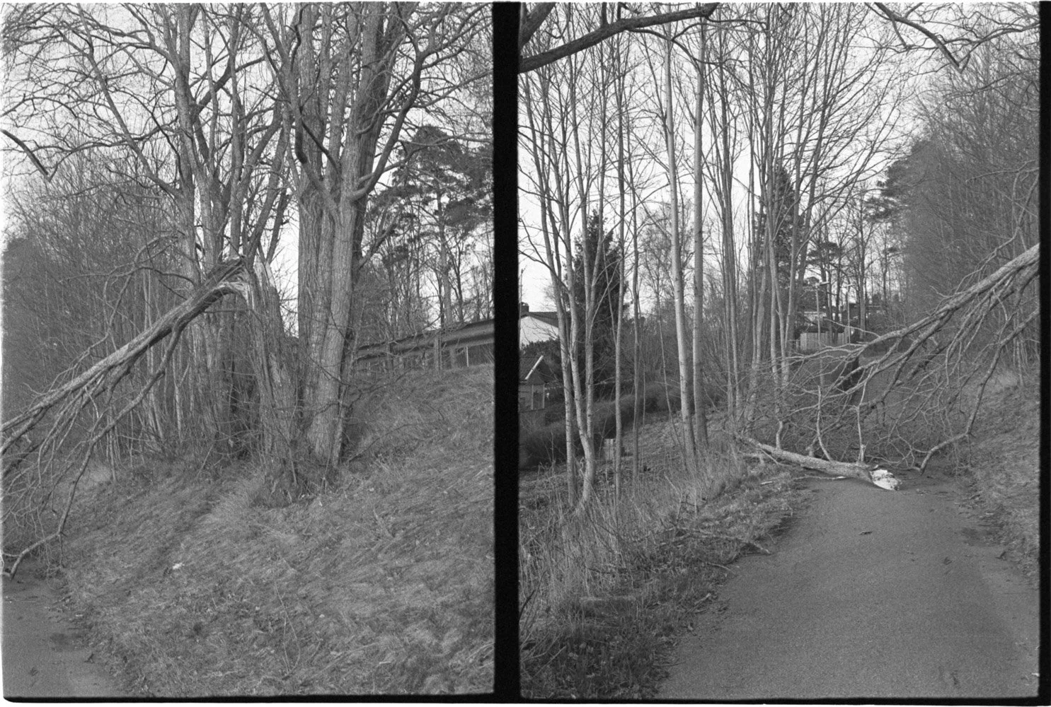 AU_2000_Canon Demi EE17_26_028.JPG