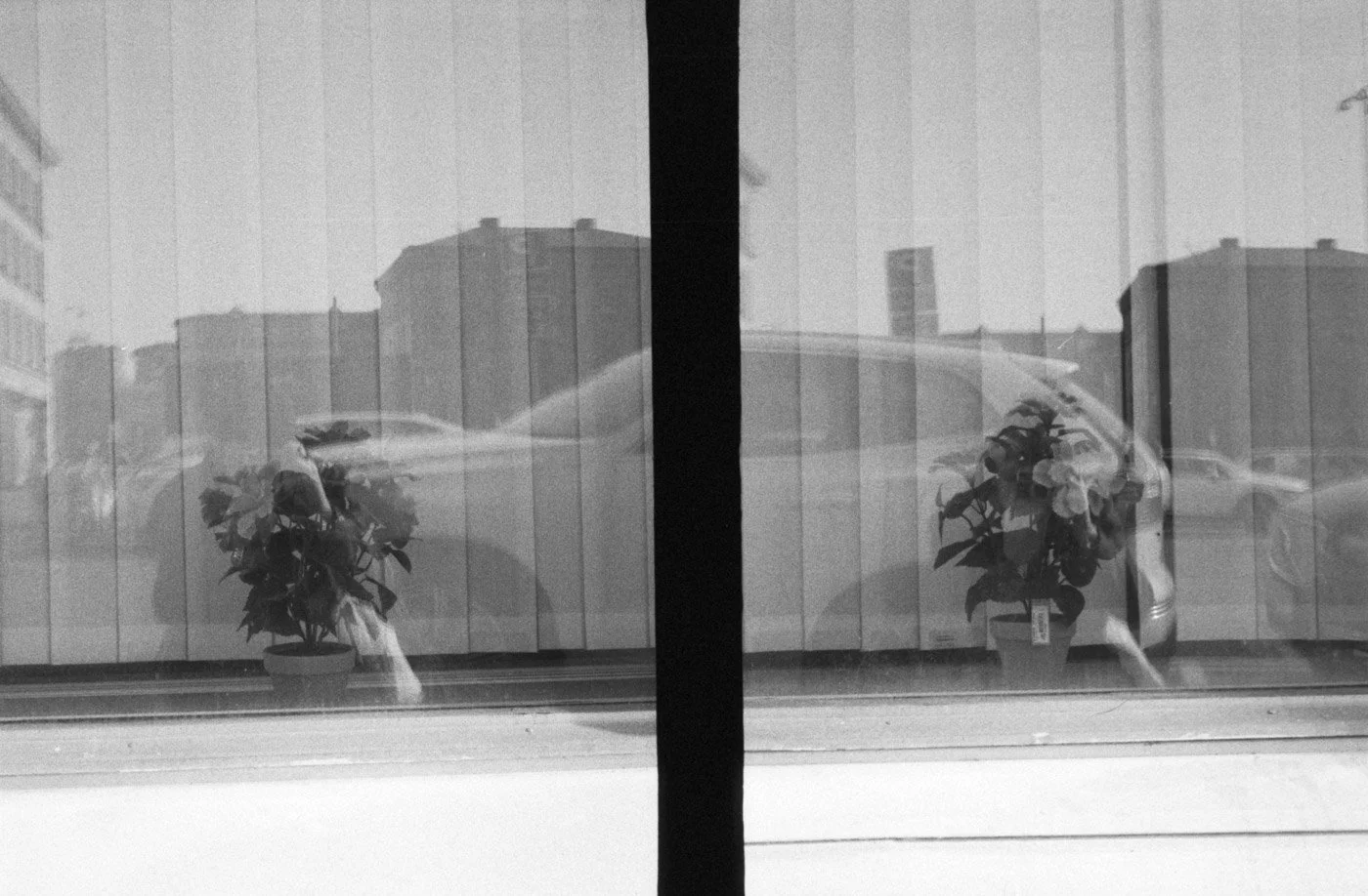 AU_1400_Fujuca Half_24_005.JPG