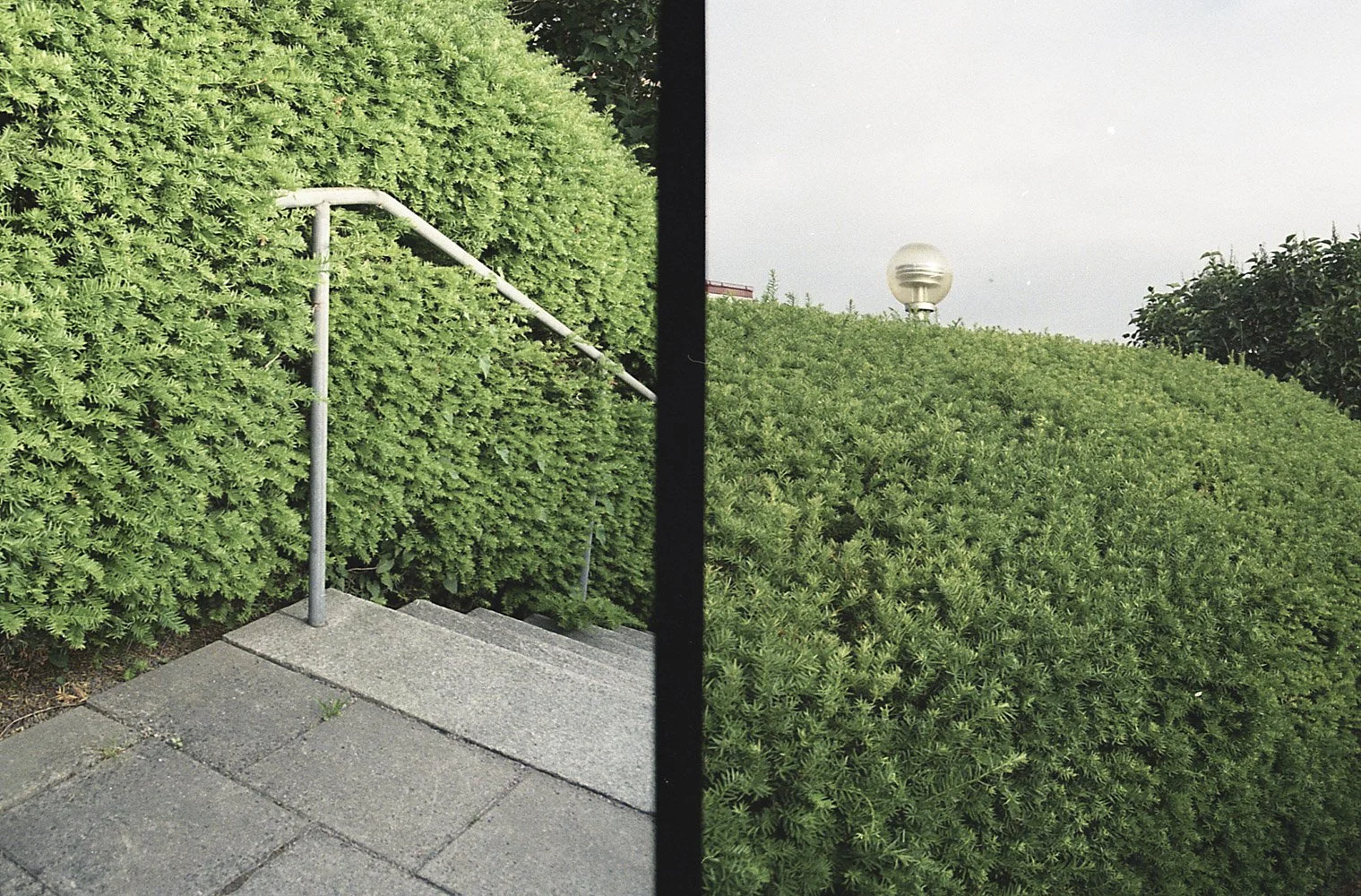 AU_2000_Yashica X30_021_073.JPG