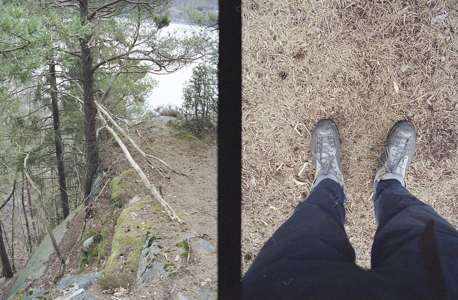 AU_2000_Yashica X30_21_064.JPG