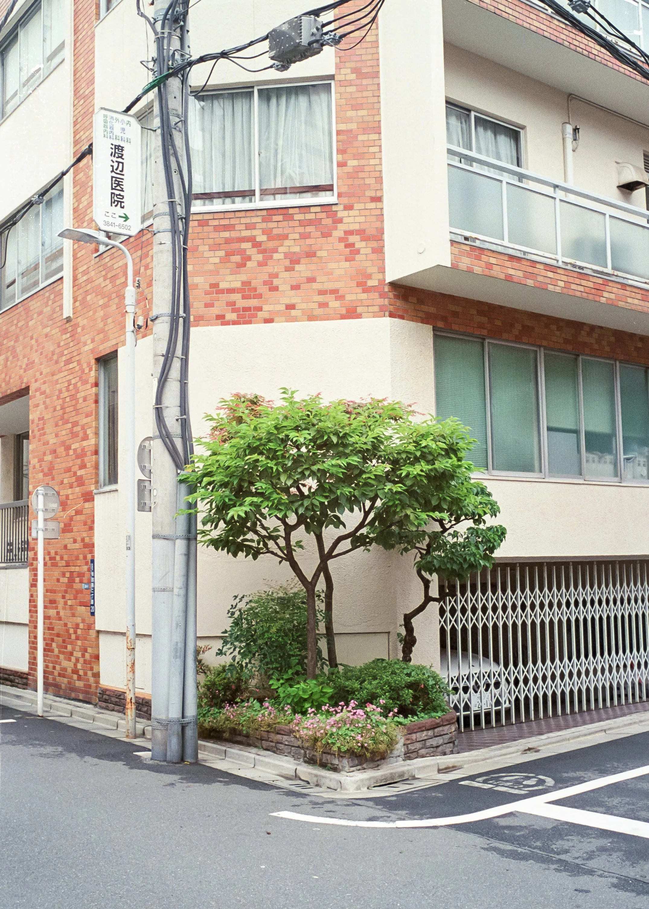 AU_hi_Leica M6_26_260.jpg