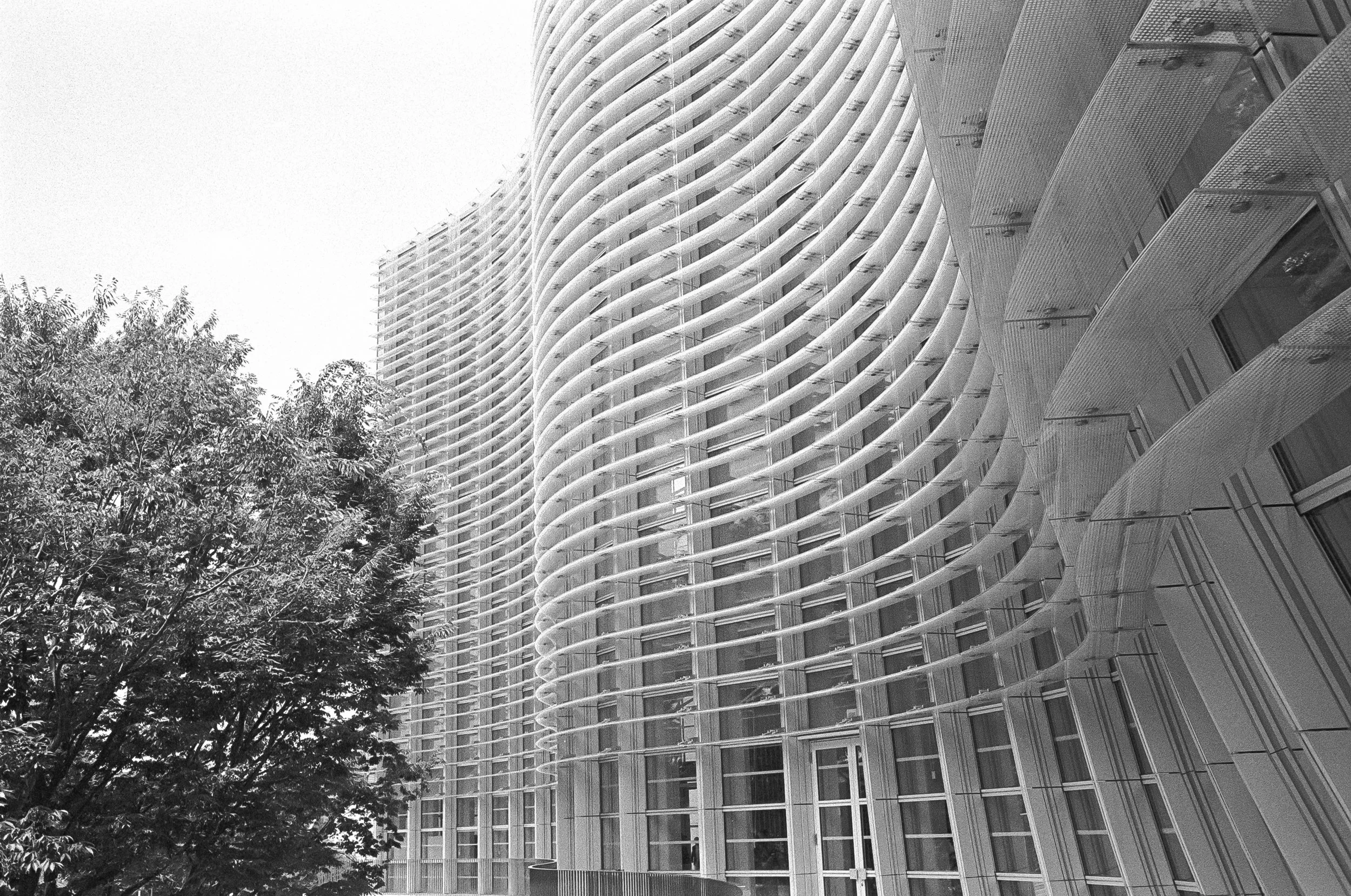 AU_hi_Leica M6_26_487.jpg