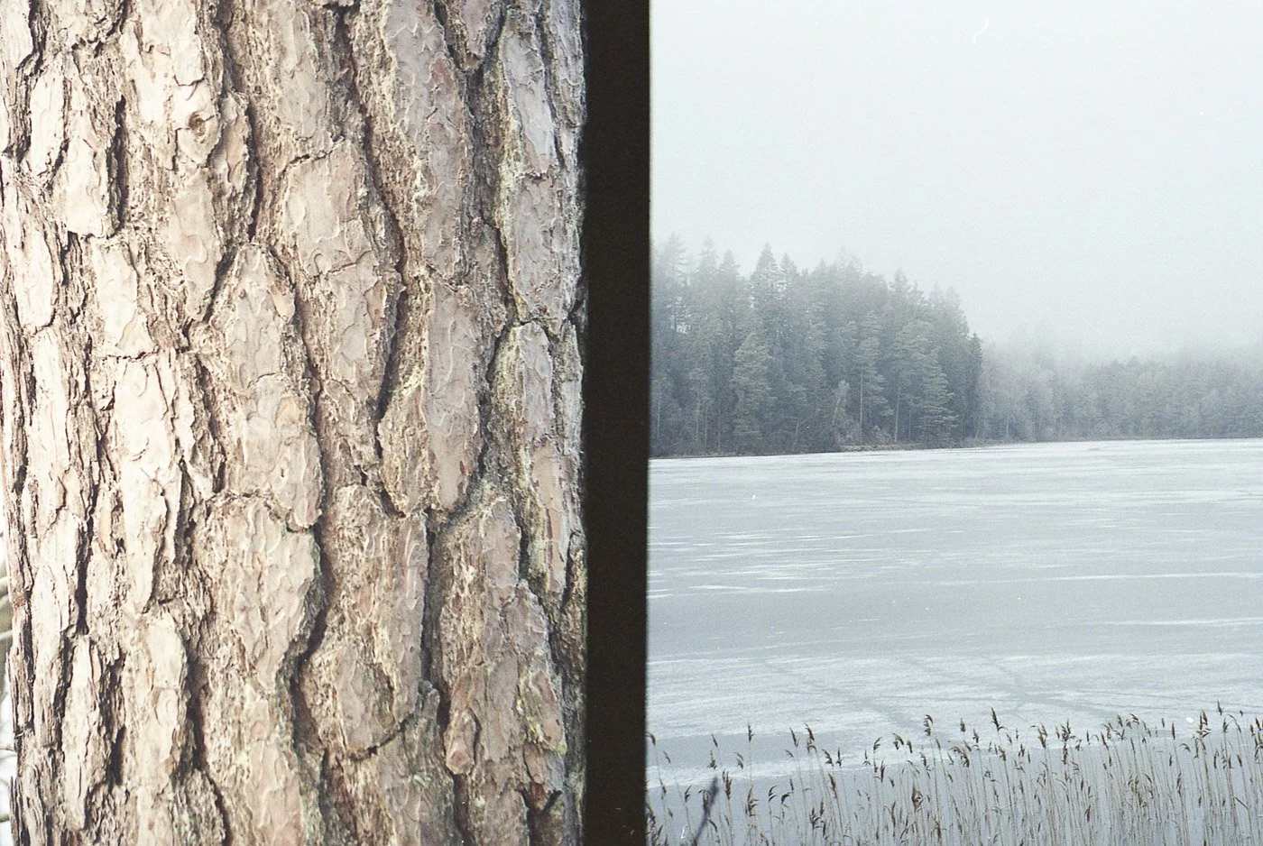 Yashica X30_21_037.jpg