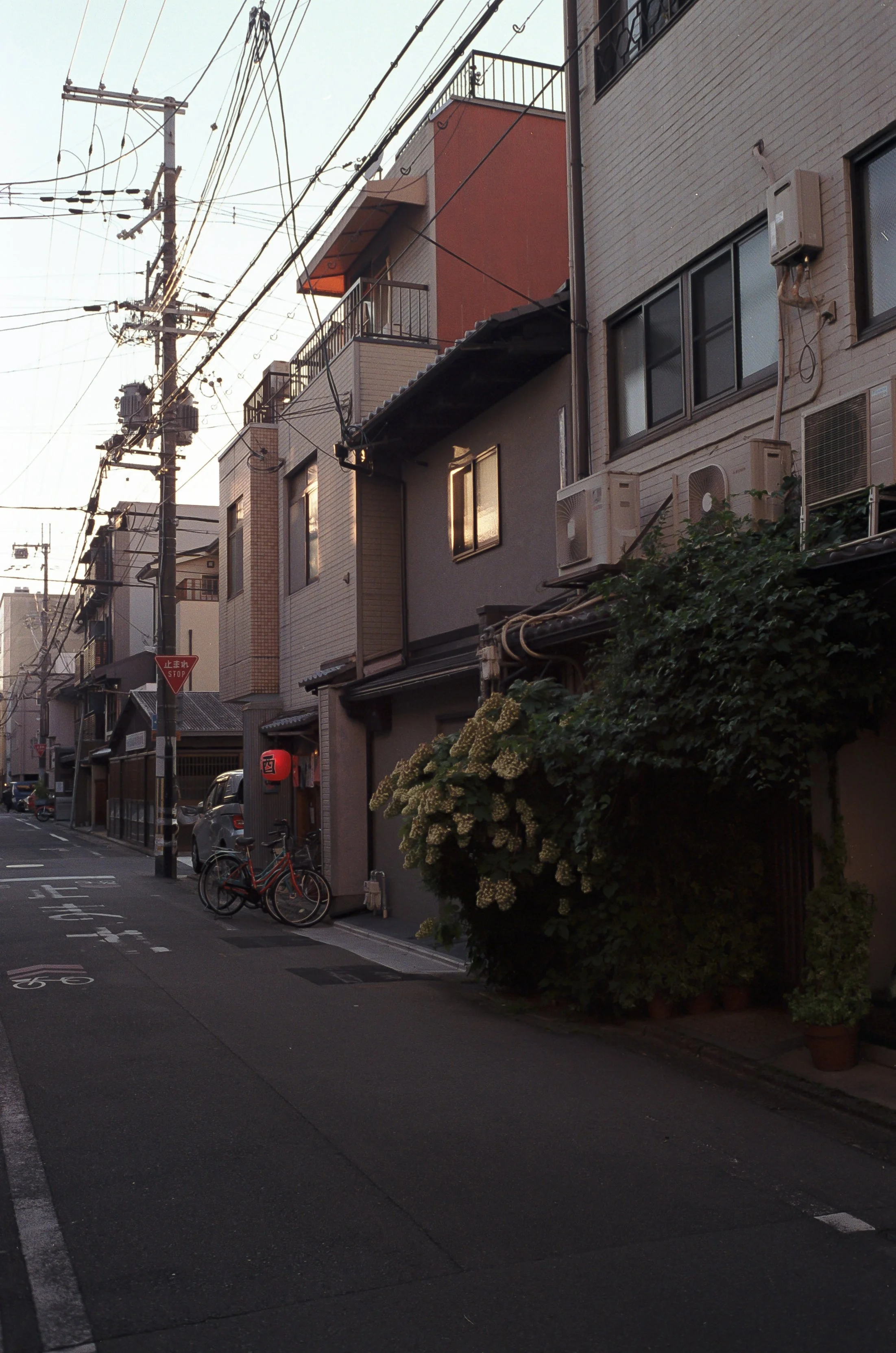 AU_hi_Leica M6_26_400.jpg