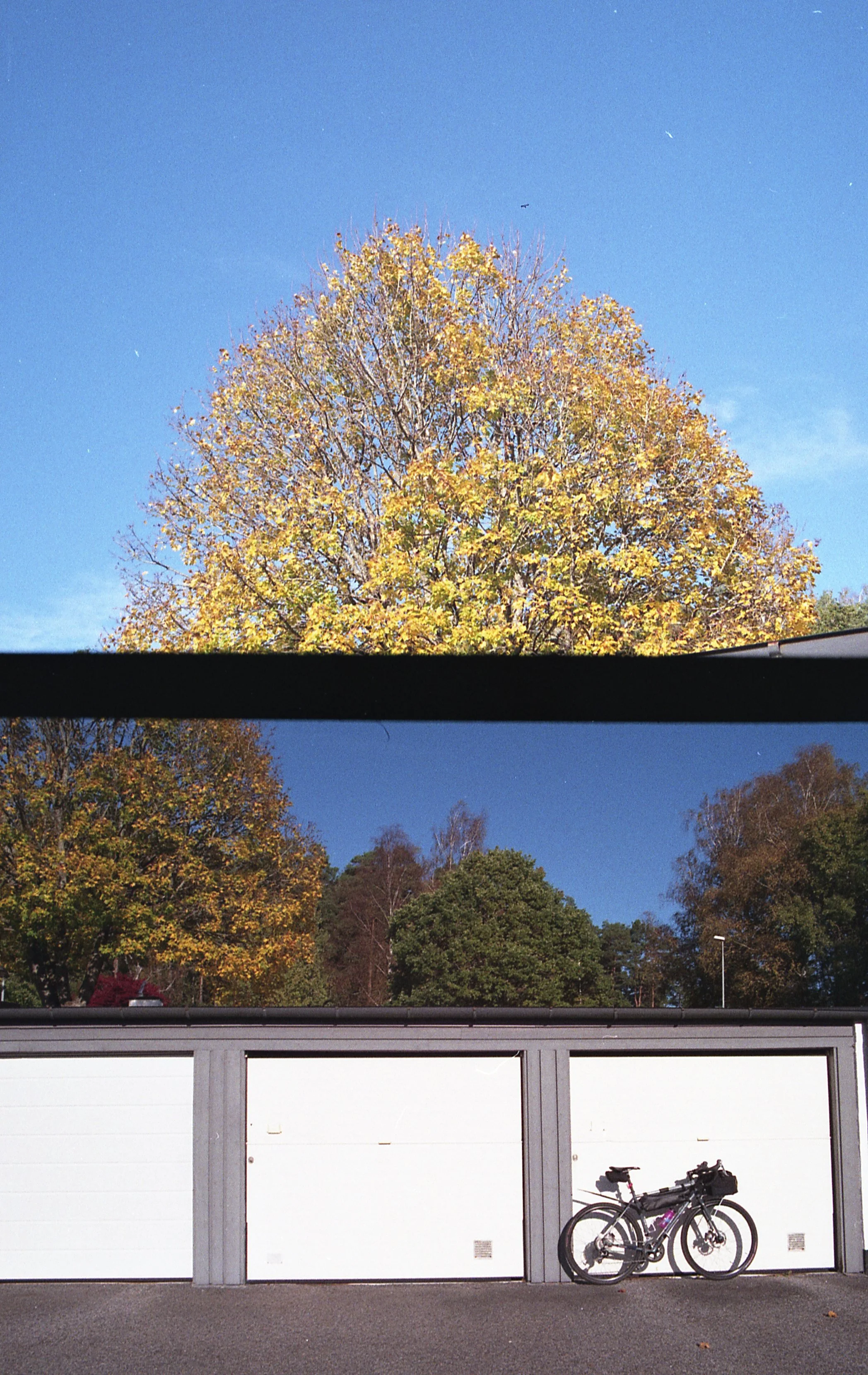 Yashica X30_20_hot_20_006.jpg