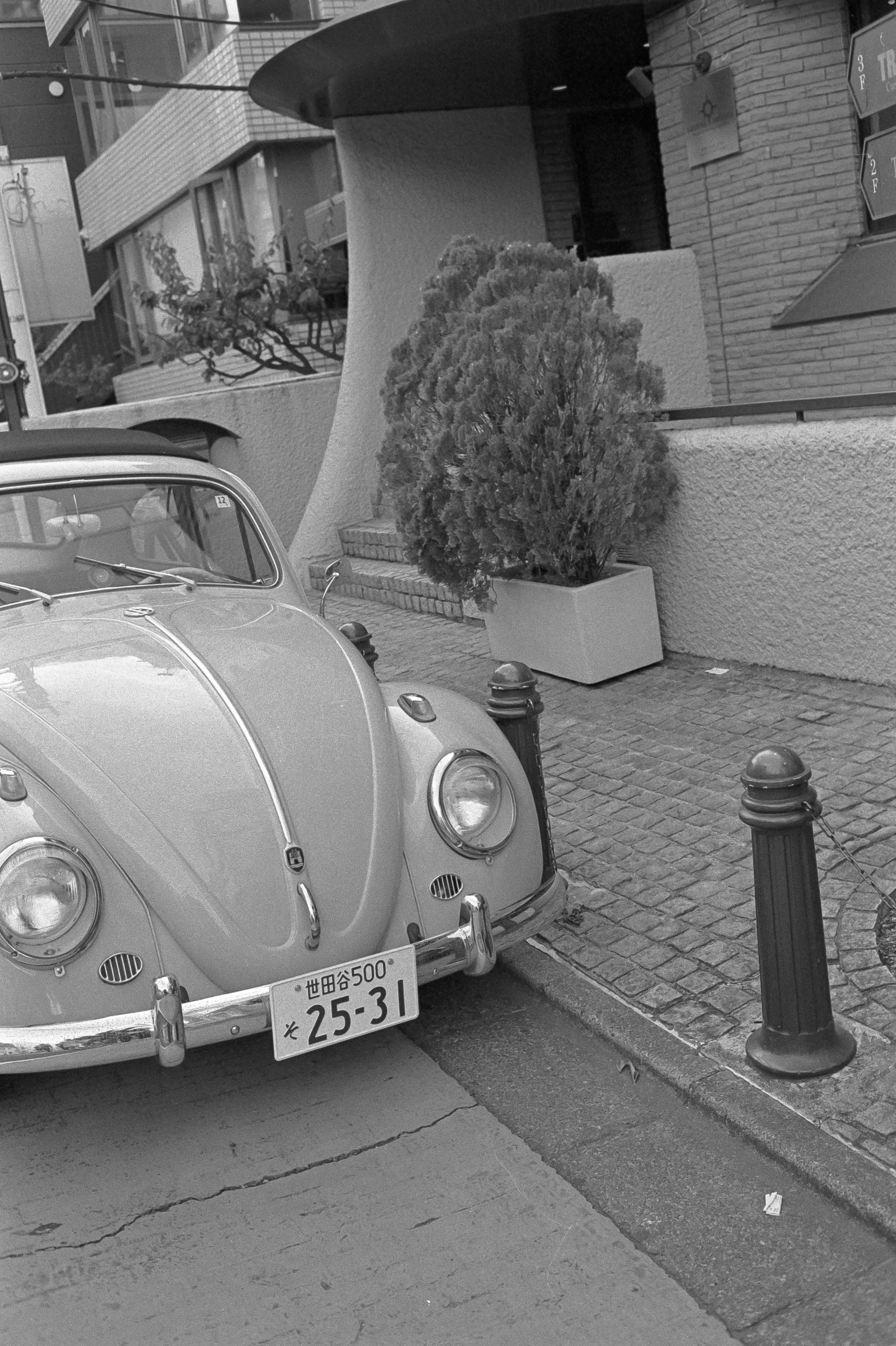 AU_hi_Leica M6_26_313.jpg