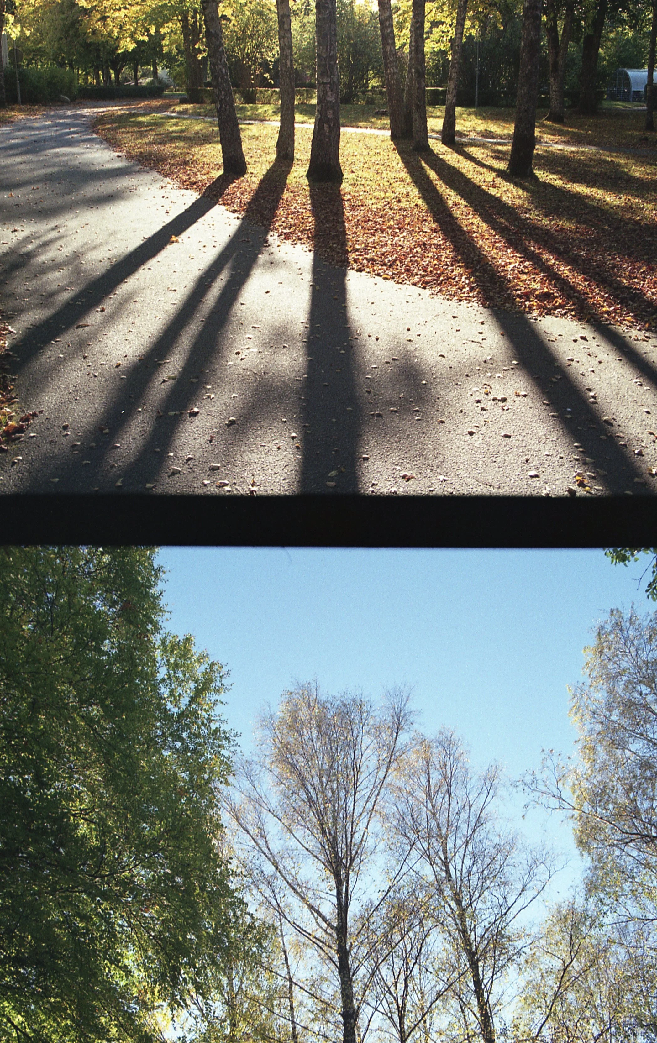 Yashica X30_20_hot_20_014.jpg