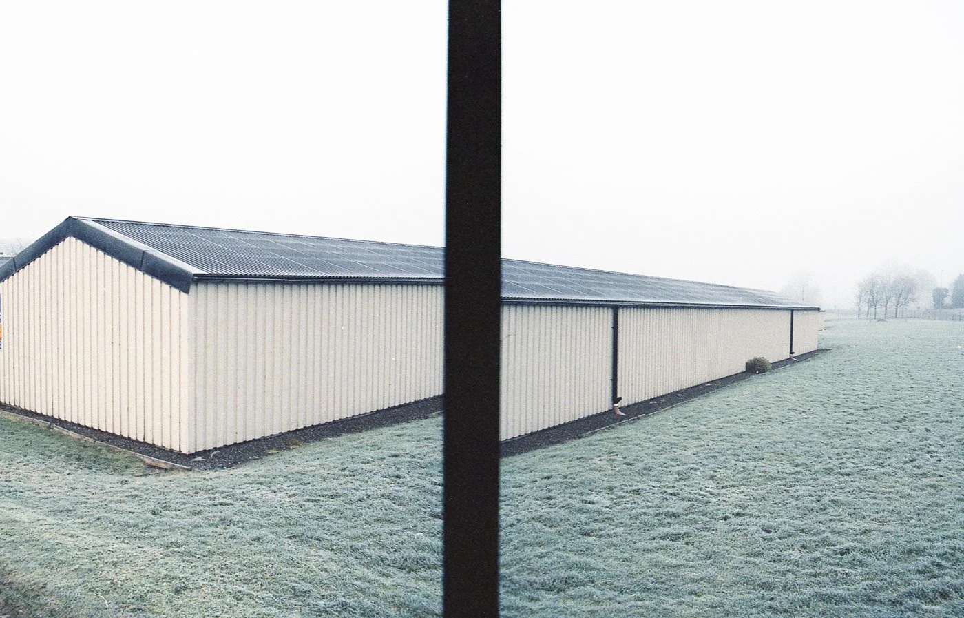 Yashica X30_21_036.jpg