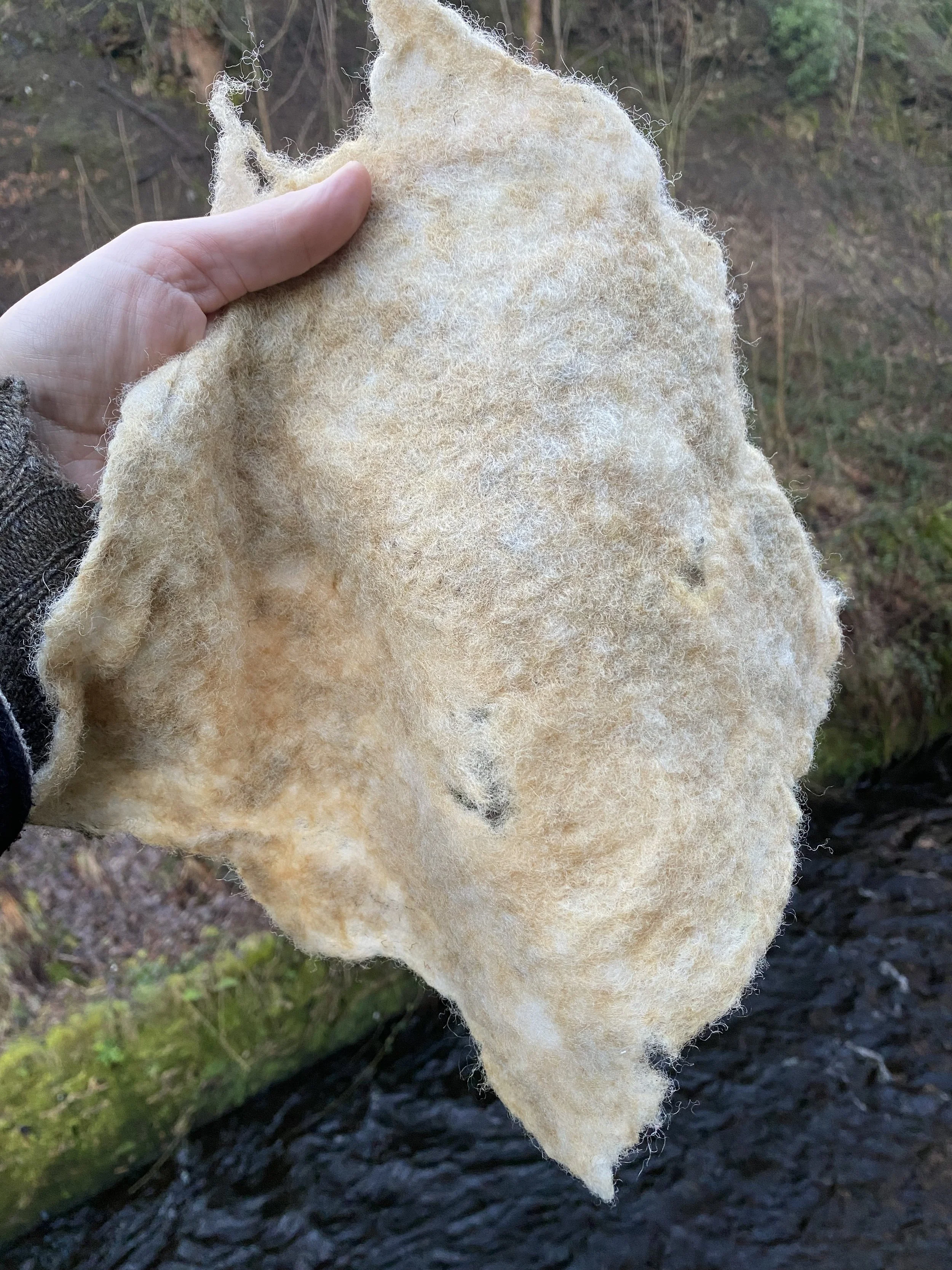 Sample of wool felt that was buried in woodland for 3 months