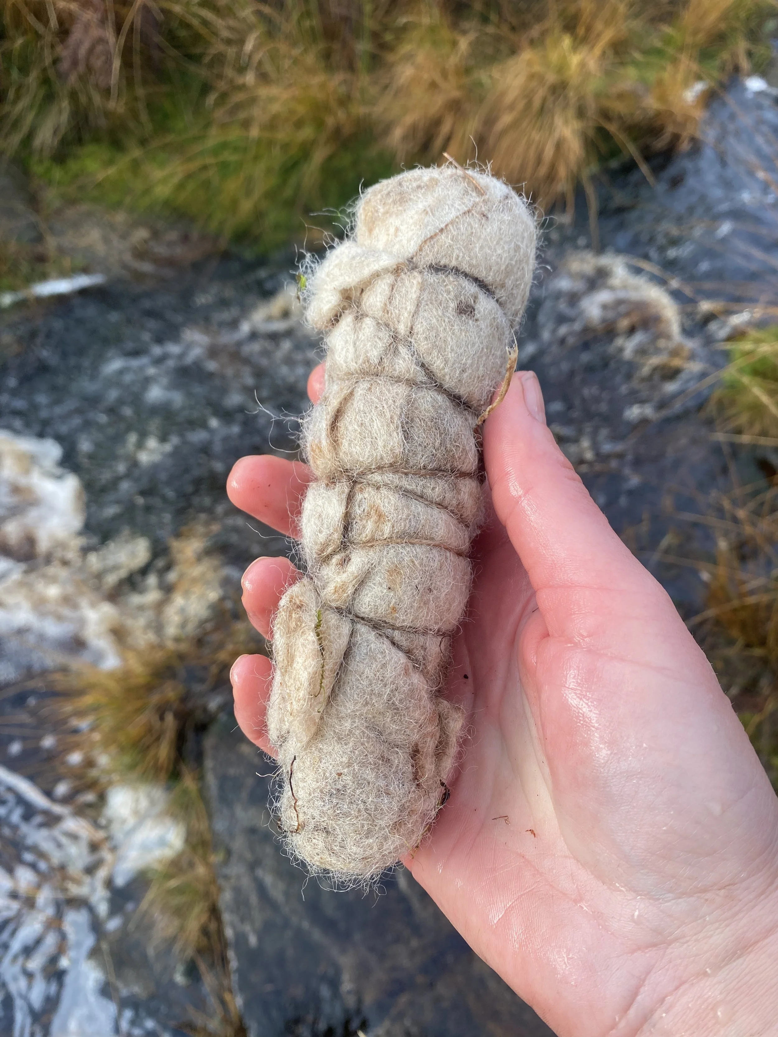 Bundled wool sample having unearthed from peat bog