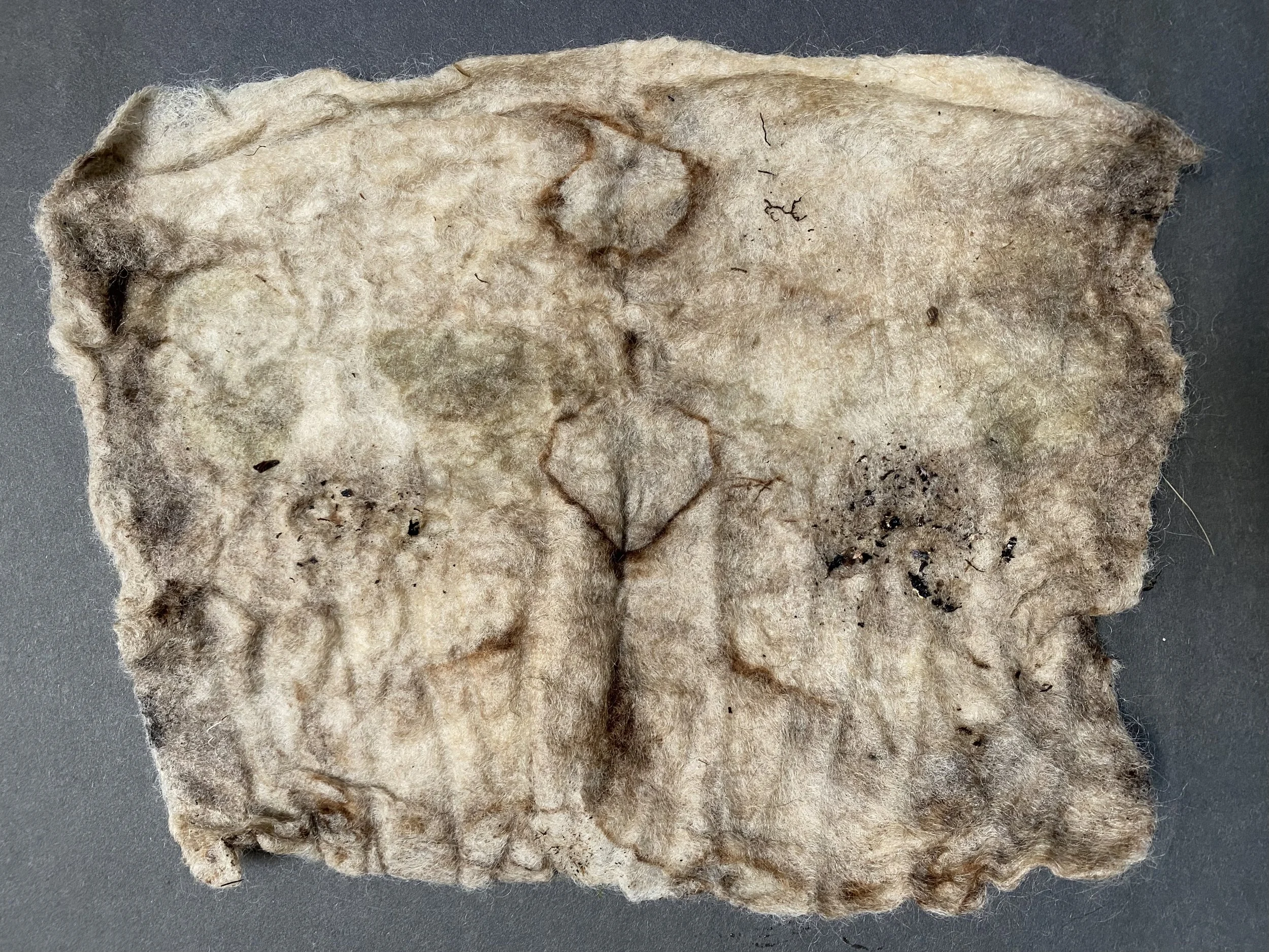Wool sample that has been bured in peat bog for 3 months bundled with dyestuffs