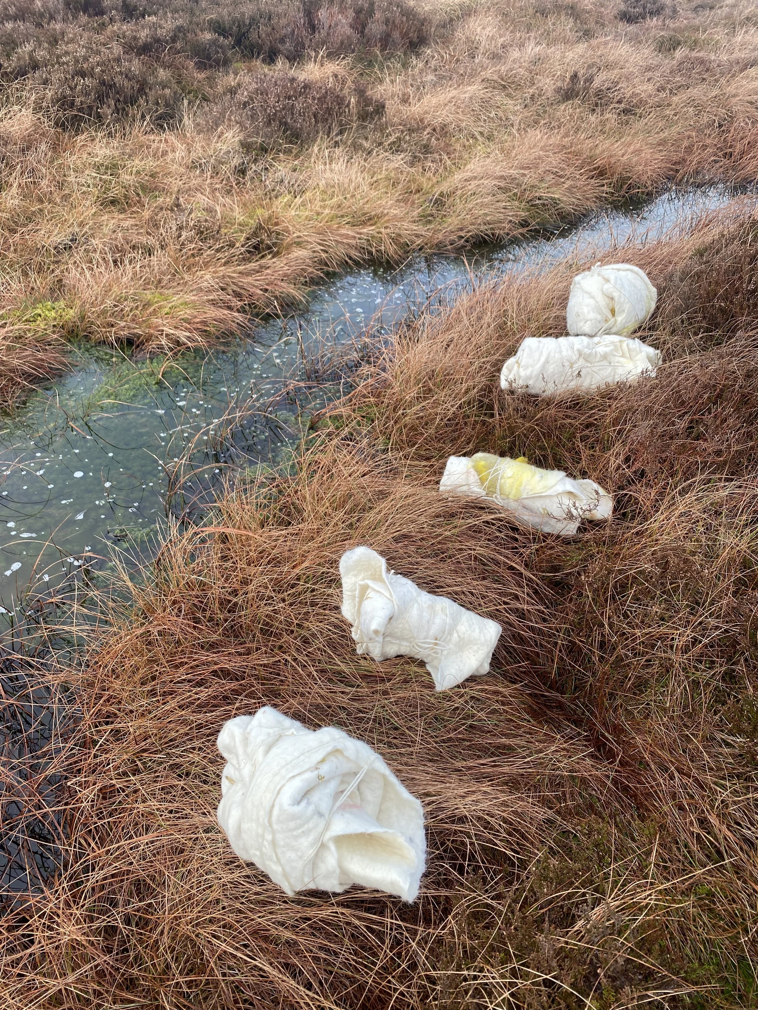 Five bundles of wool felt lie in a line beside a crescent moon shaped moorland pool