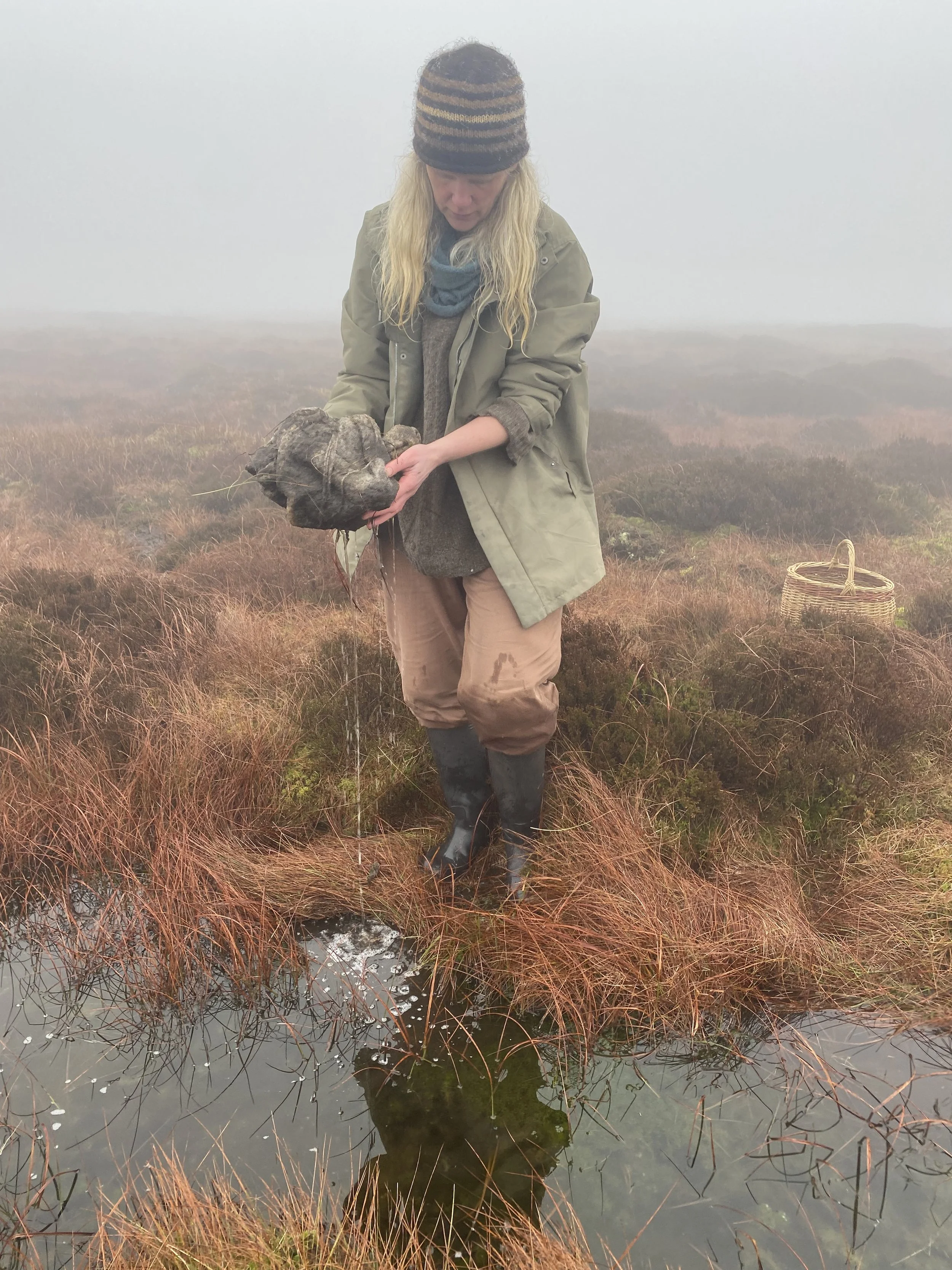 The artist standing by moorland pool holding a bundle of wool that has just been unearthed from the bog
