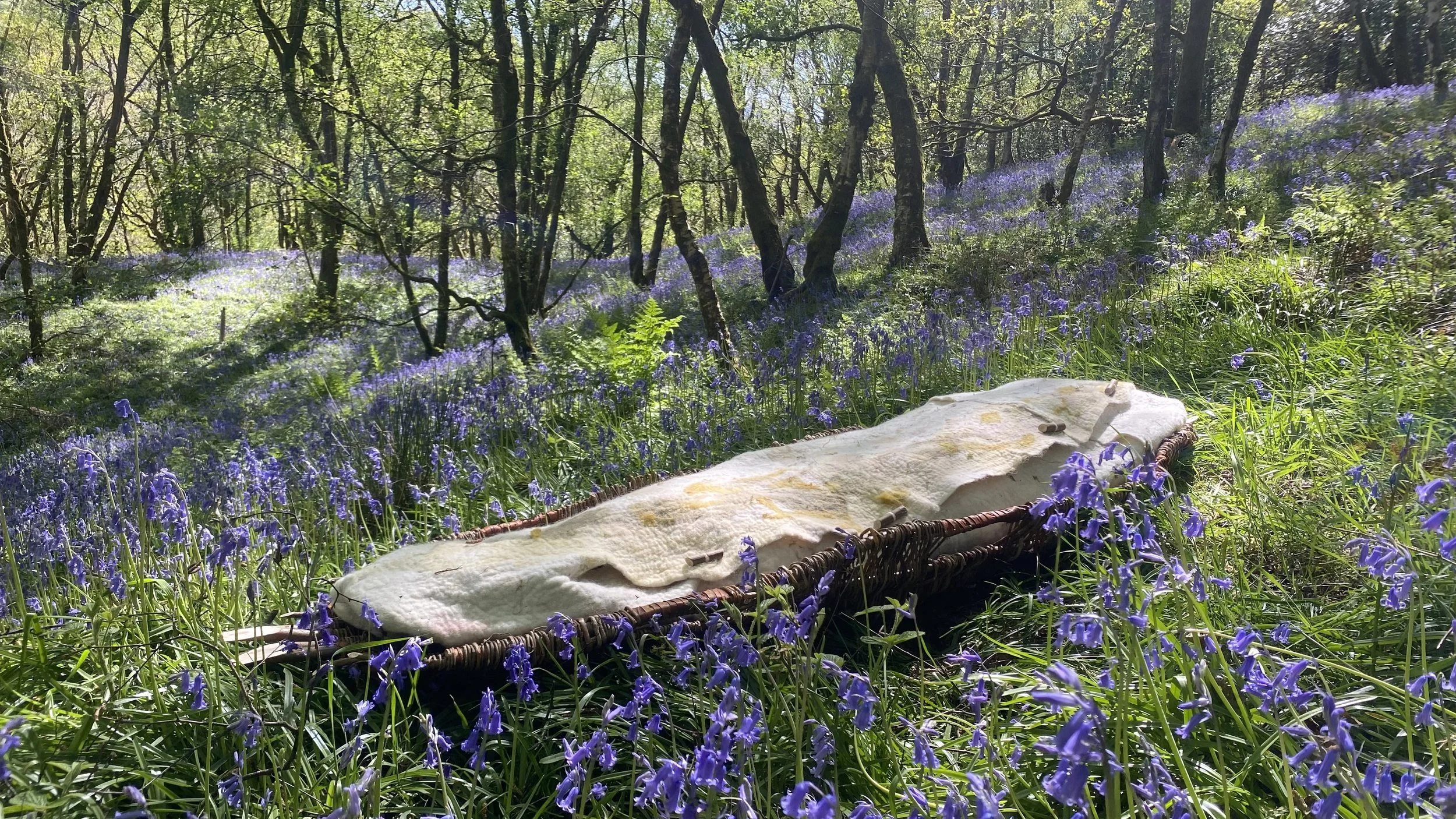 A soft light coloured shroud nestles in a handwoven cradle amid a bluebell field in the woods