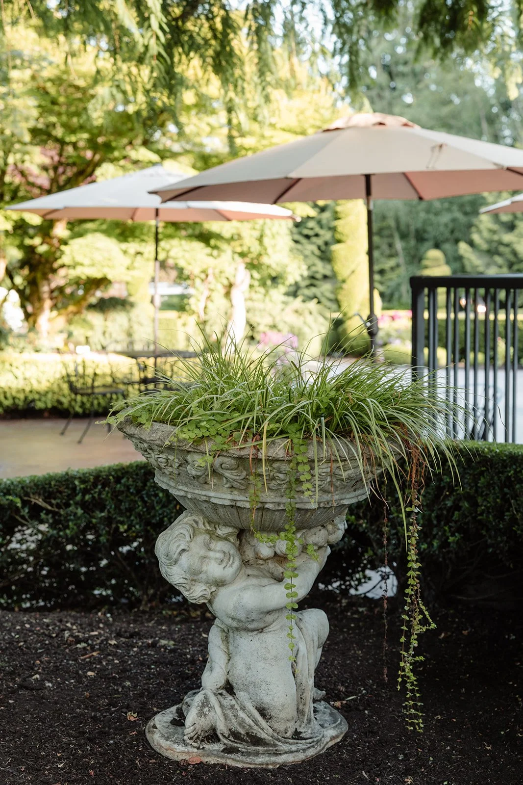 Rock Creek Gardens Venue 2026 tmInspired Photography-39_websize.jpg