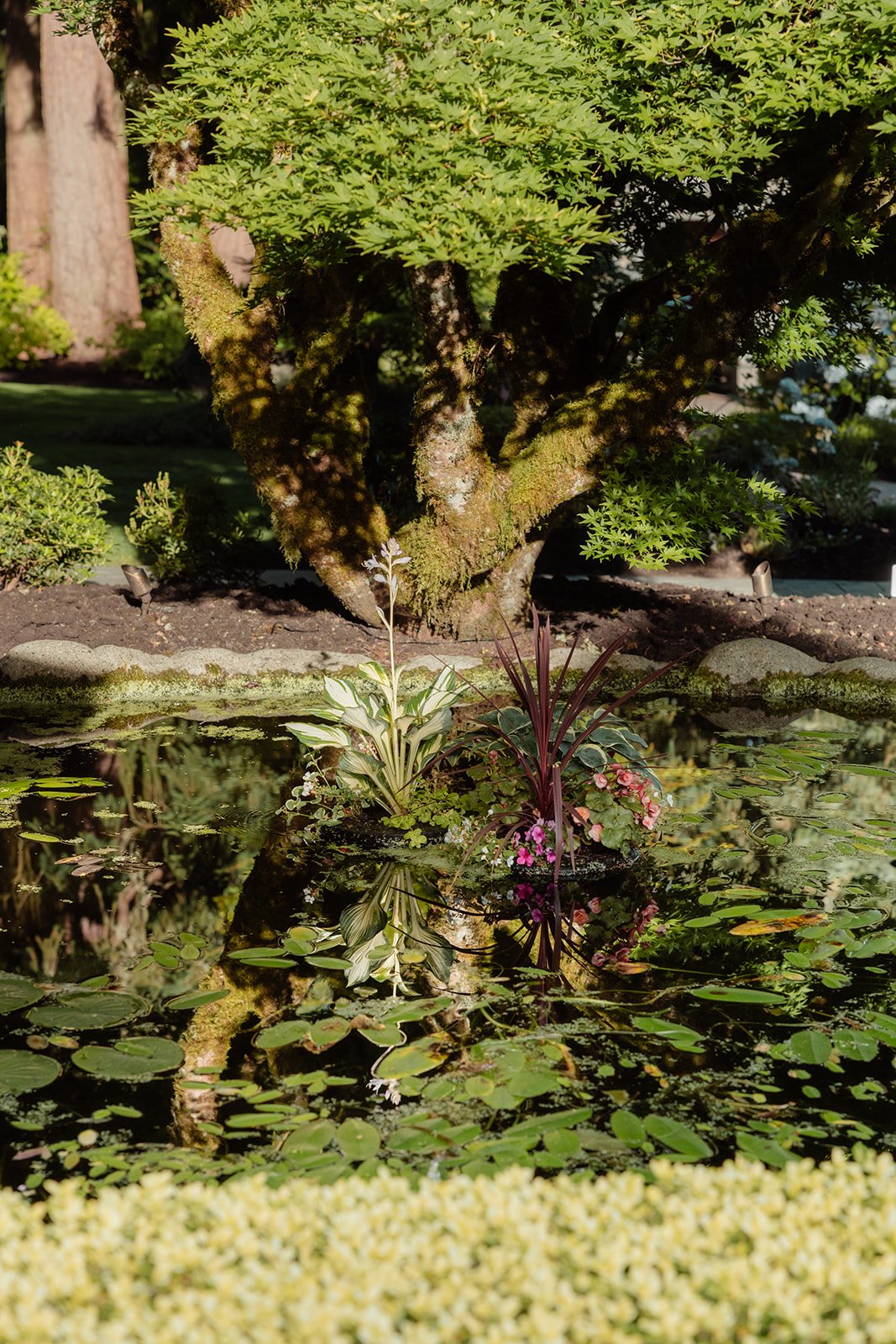 Rock Creek Gardens Venue 2026 tmInspired Photography-48_websize.jpg