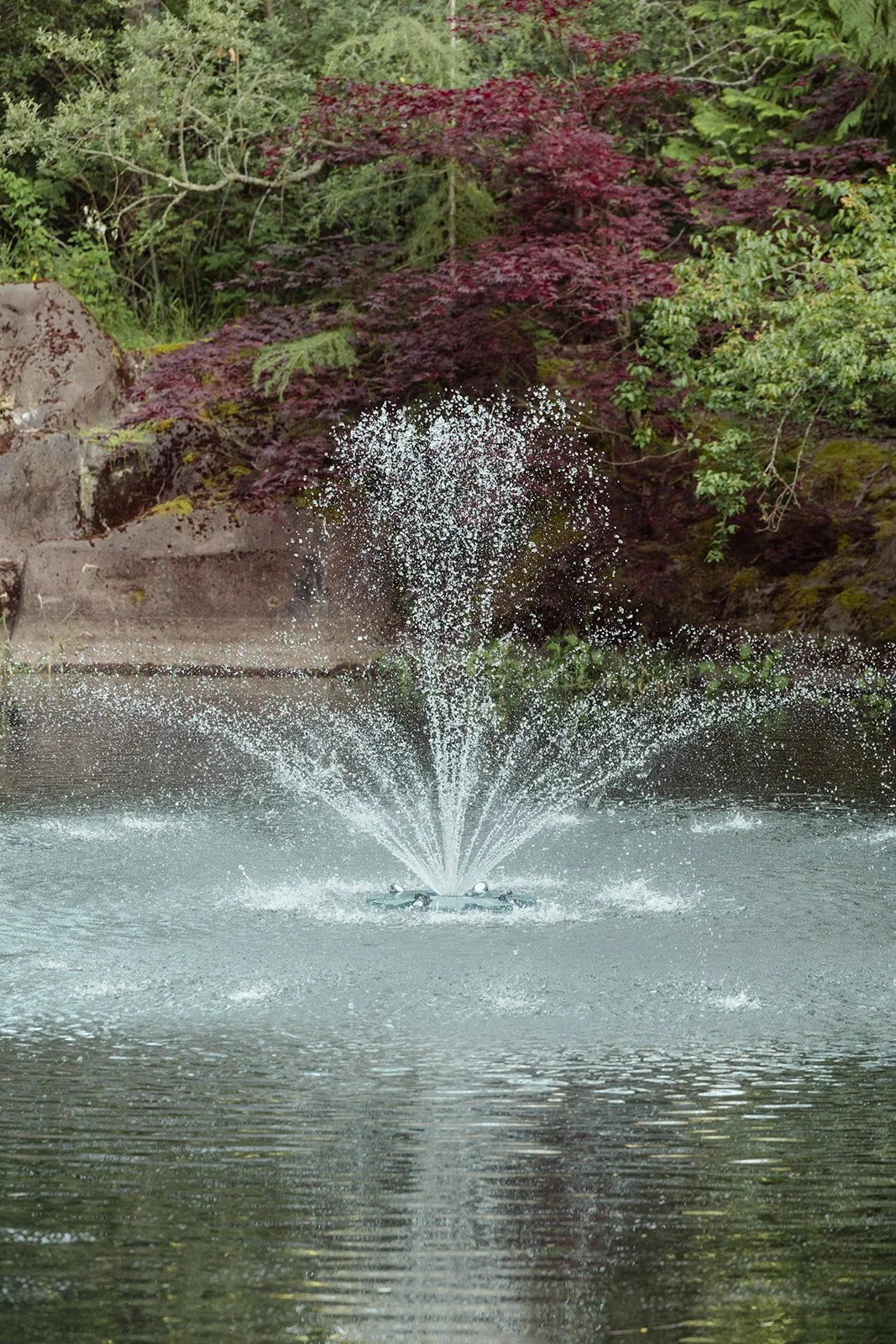 Rock Creek Gardens Venue 2026 tmInspired Photography-87_websize.jpg