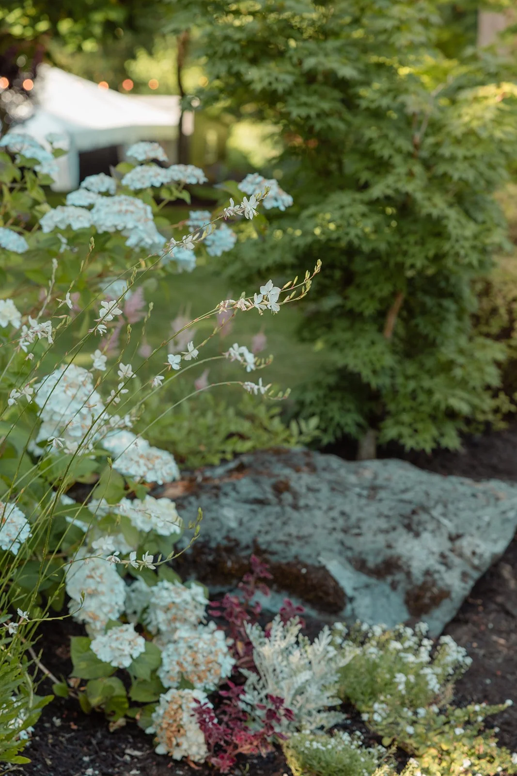 Rock Creek Gardens Venue 2026 tmInspired Photography-52_websize.jpg