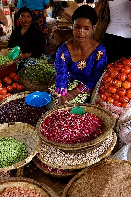 The constitutional right to food in South Africa: What lived realities reveal about gaps in law and practice&nbsp;