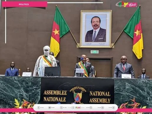 Cameroon’s New Vice Presidency: Interrogating the Constitutionality and Democratic Quality of the Presidential Succession Framework