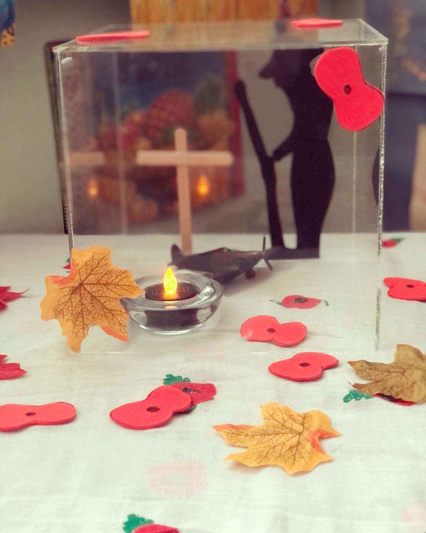 This week we will be highlighting Remembrance! Check out this lovely curiosity cube set up in Pine class 🌹