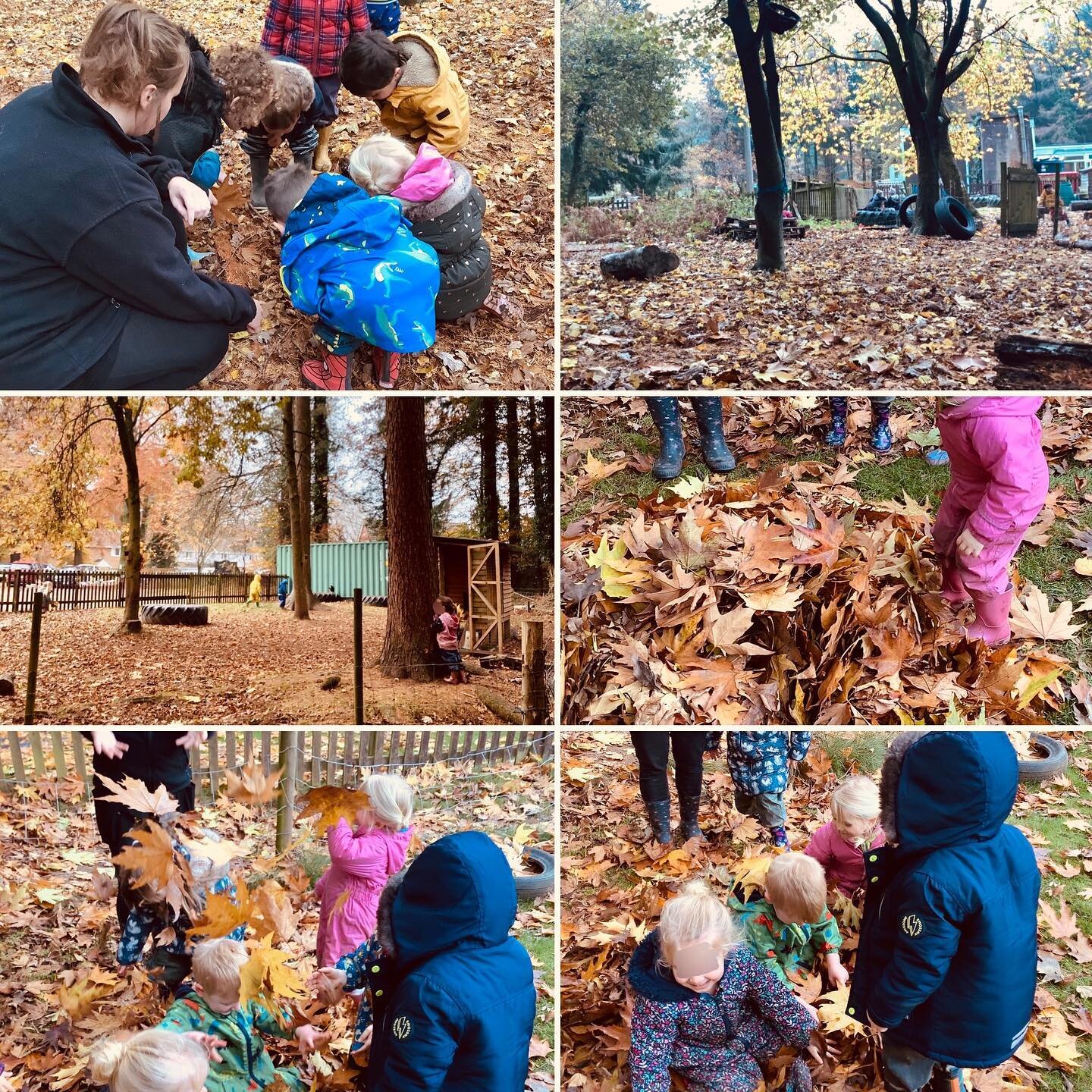 Our forest school site has been littered with glorious Autumn leaves 🍁 We are having lots of fun exploring natures beauty 😍