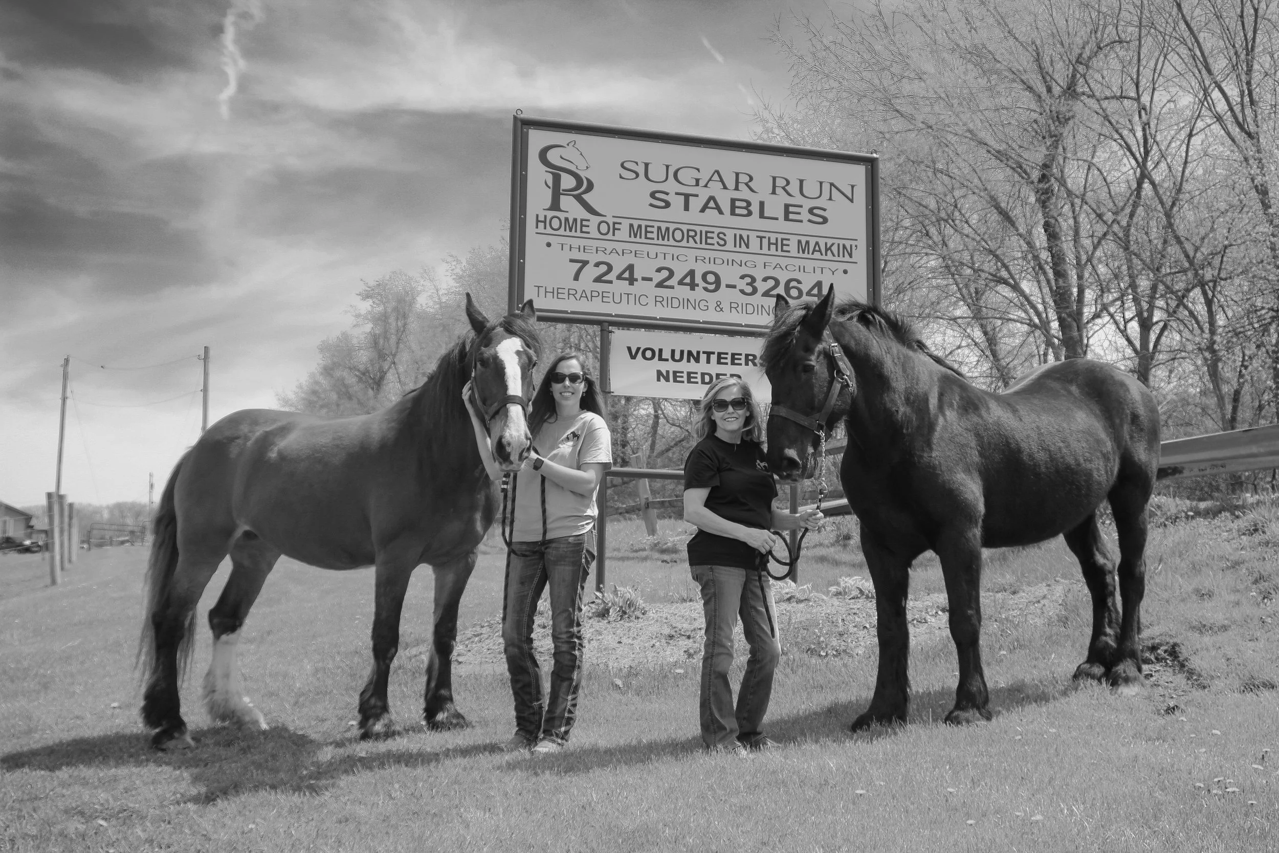 sugar run stables, summer activities in avella pennsylvania, summer camp, riding lessons, therapy