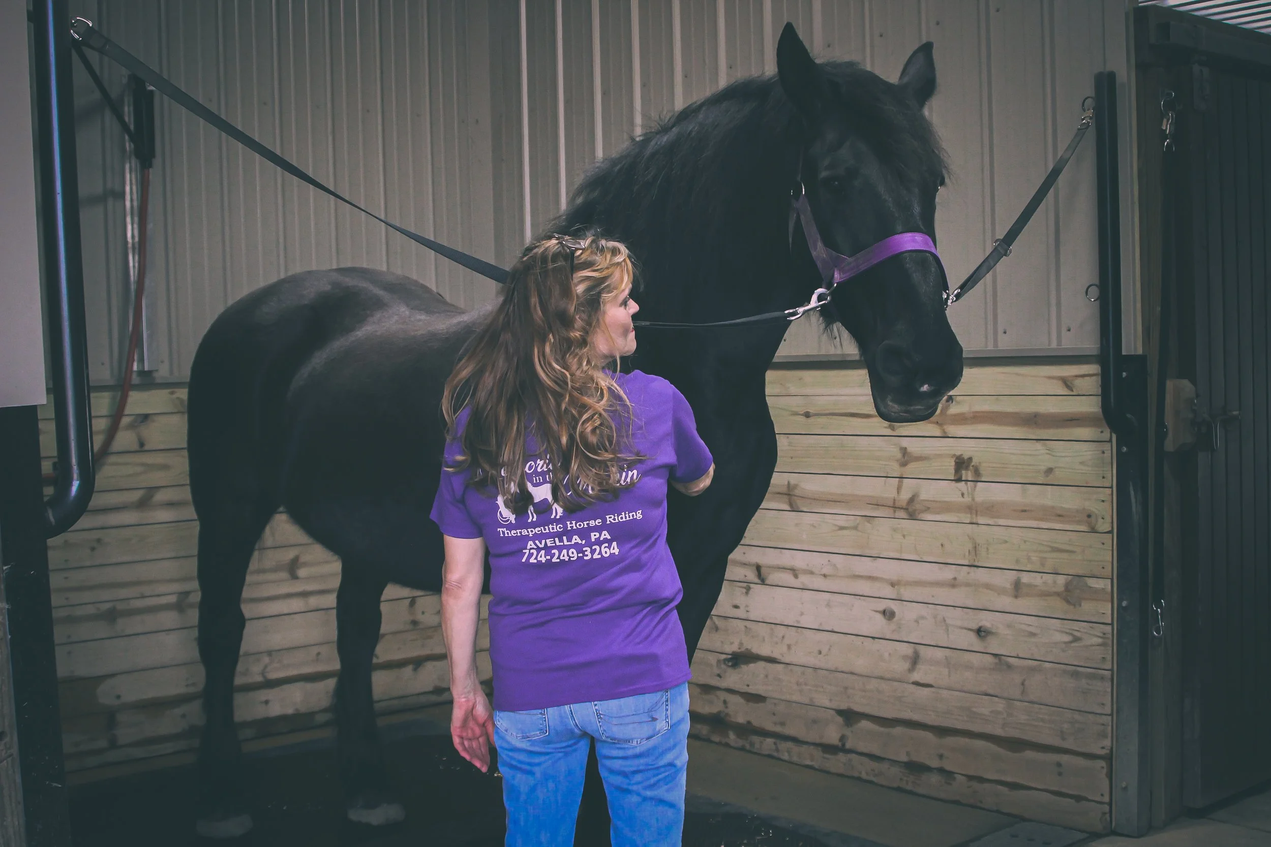 sponsor a horse or rider, memories in the makin, woman grooming horse, equine therapy