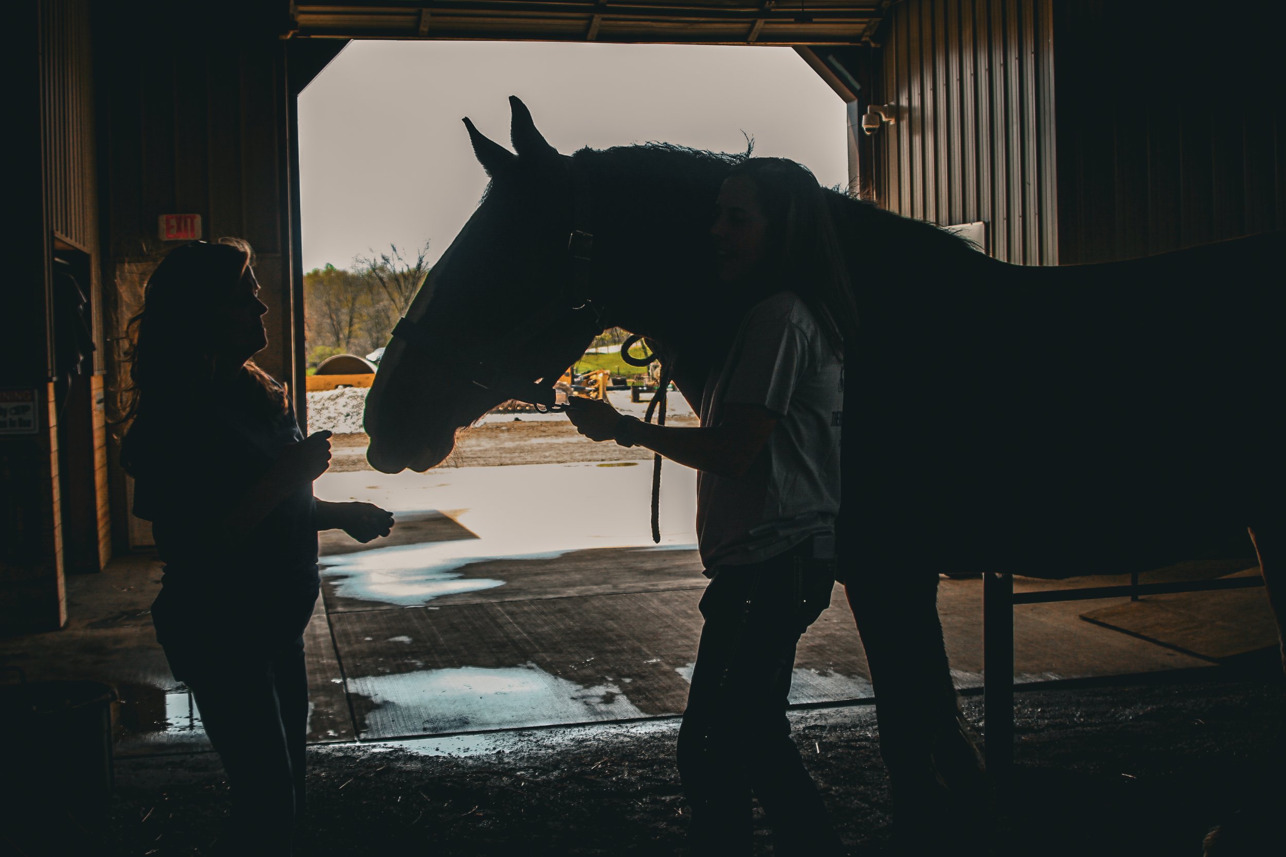 new hobby, things to do avella pa, horses, horseback riding, therapy, horsemanship