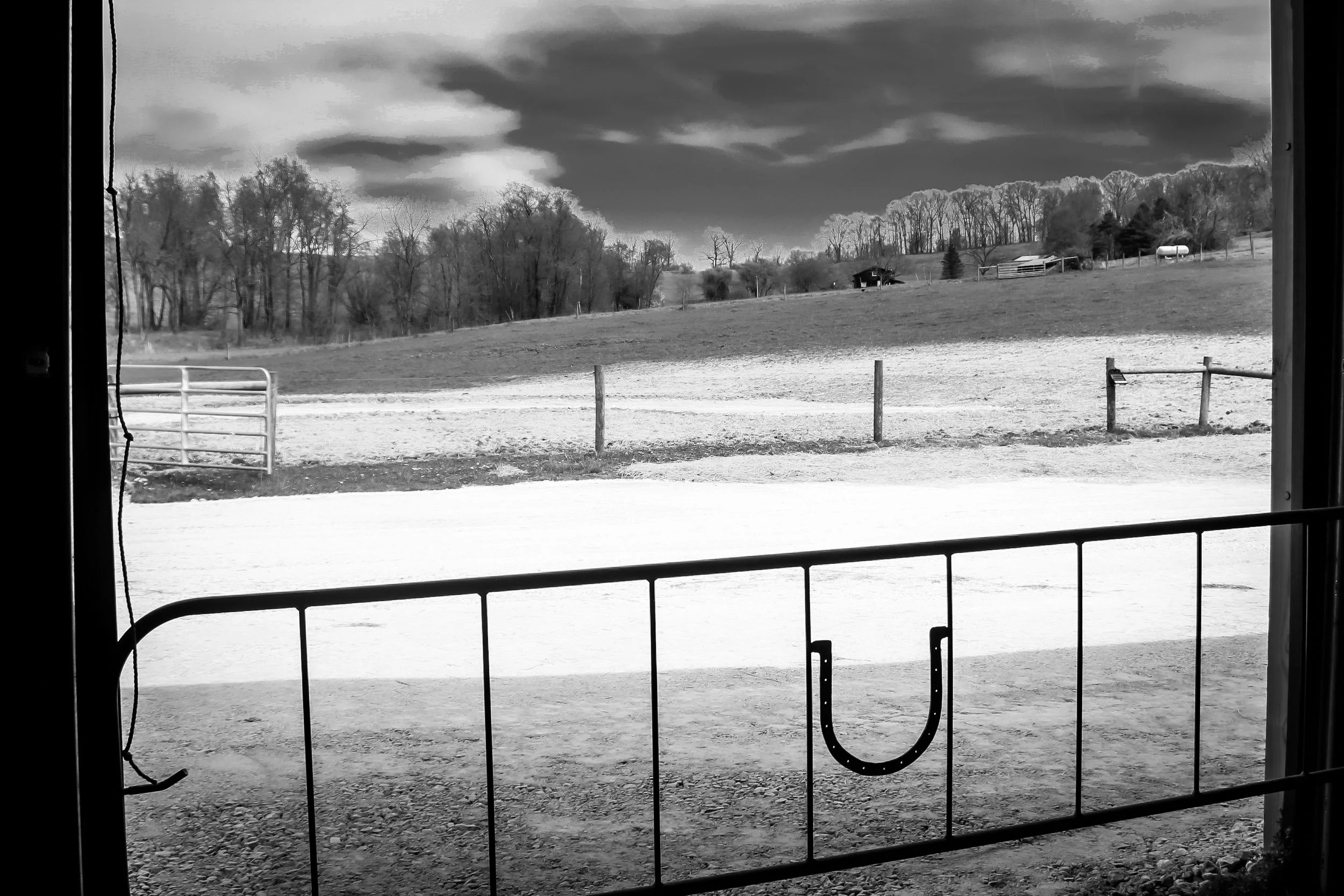 horse farm, stables, horseshoe, avella pa, horseback riding