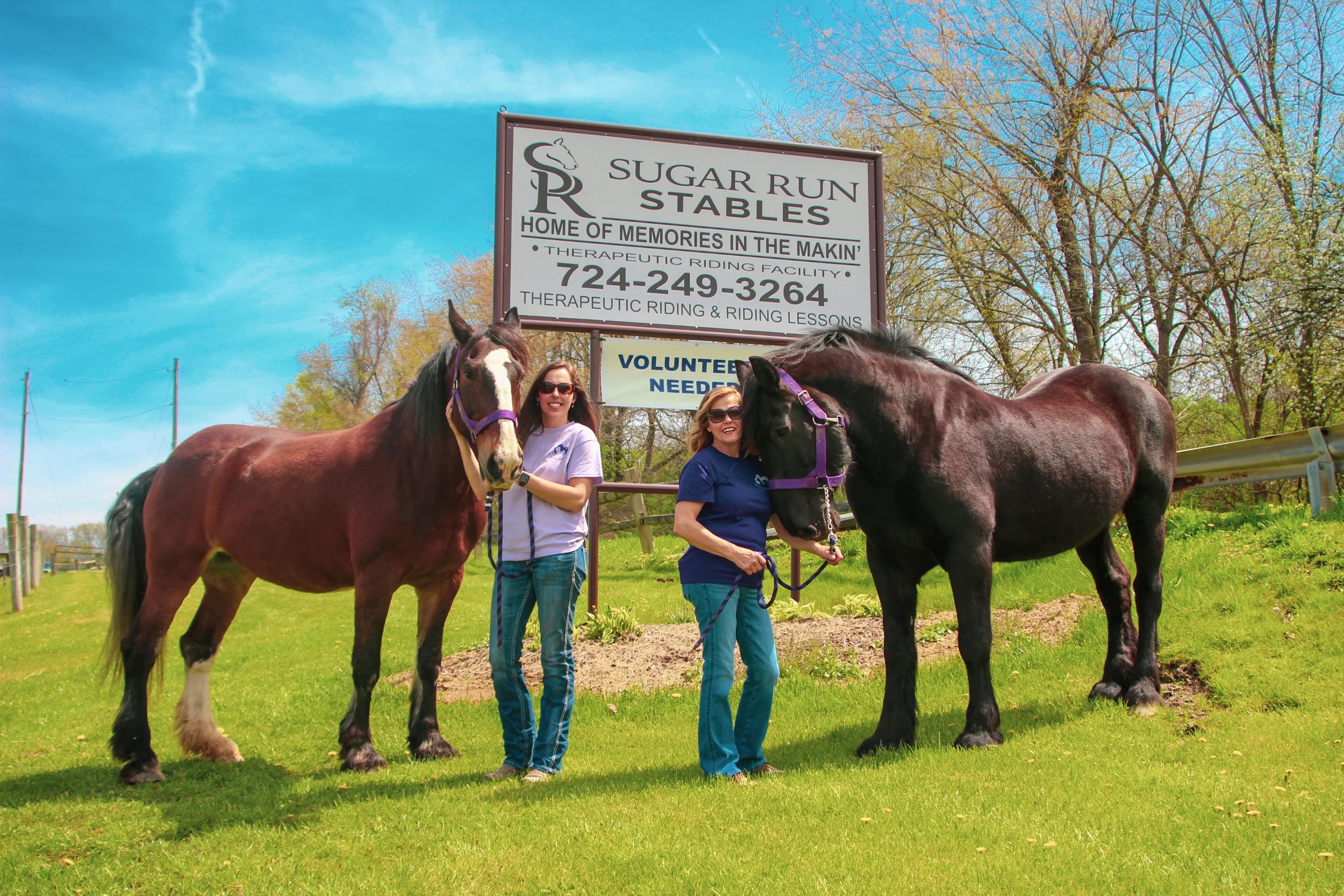 Sugar run stables horse farm sunny day