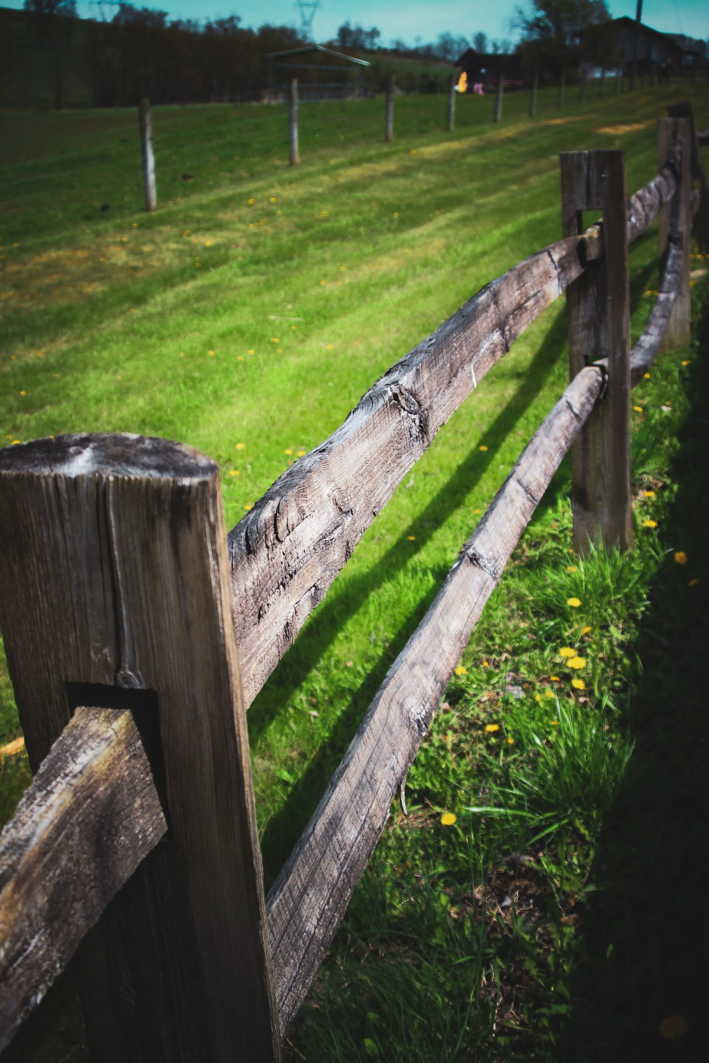 artsy fence, moody image, fenceline