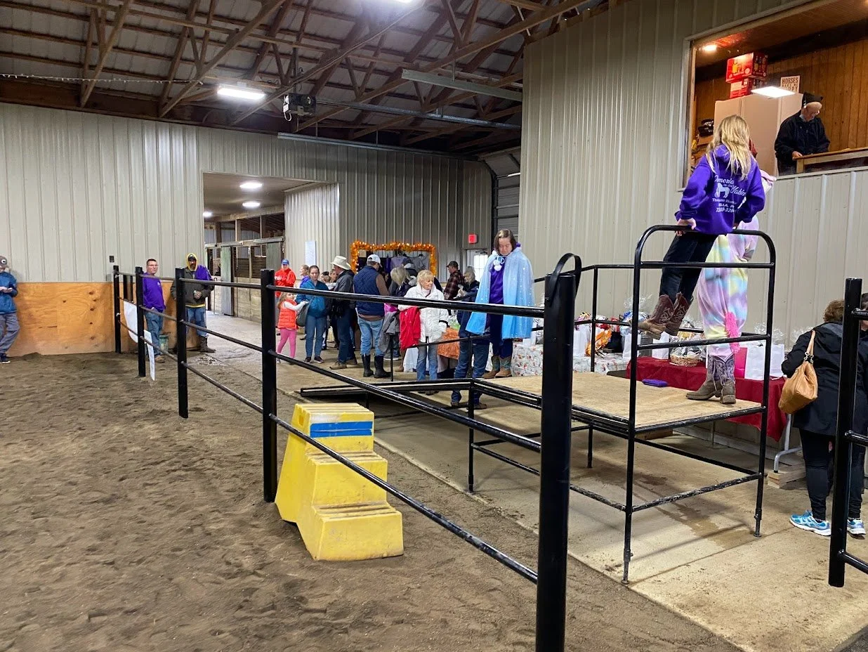 horse fall festival avella pa