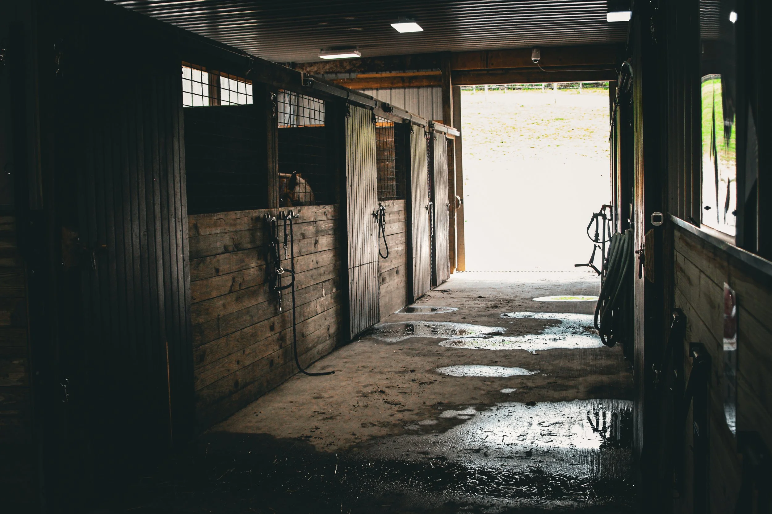stables with horse, independence PA, pittsburgh, washington county PA
