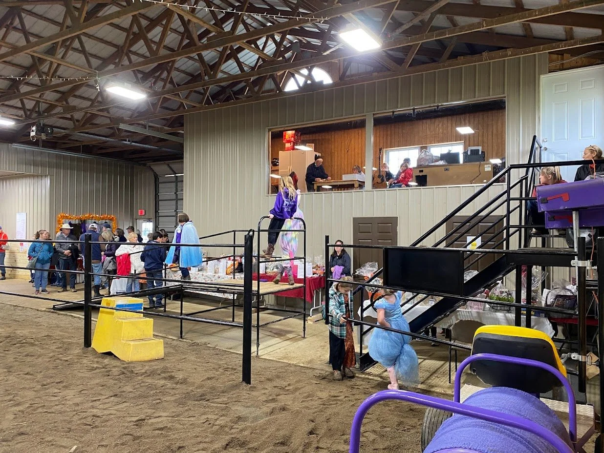 avella fall festival horses