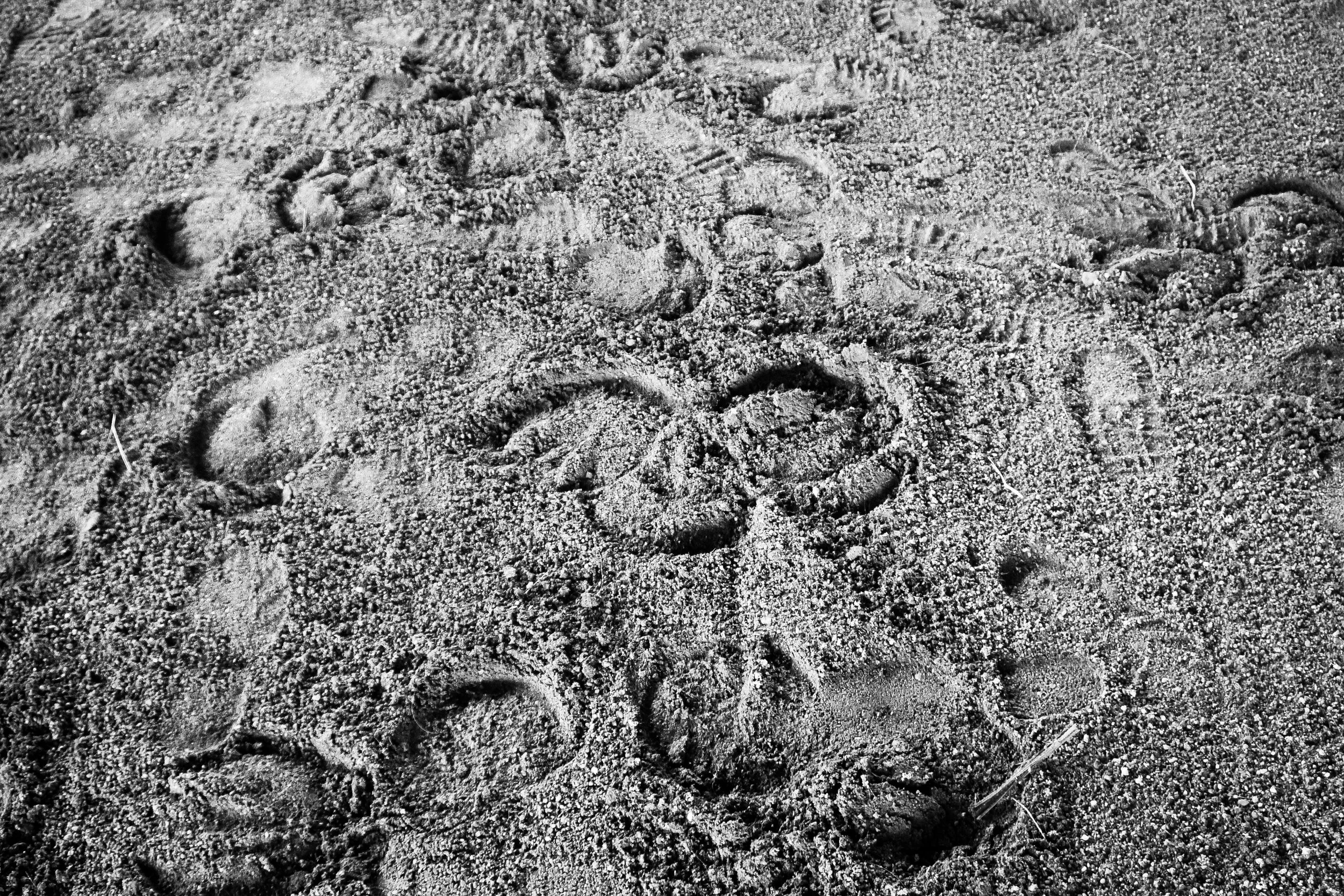 horse arena, footprints, mindfulness, therapy, equine, therapeutic riding