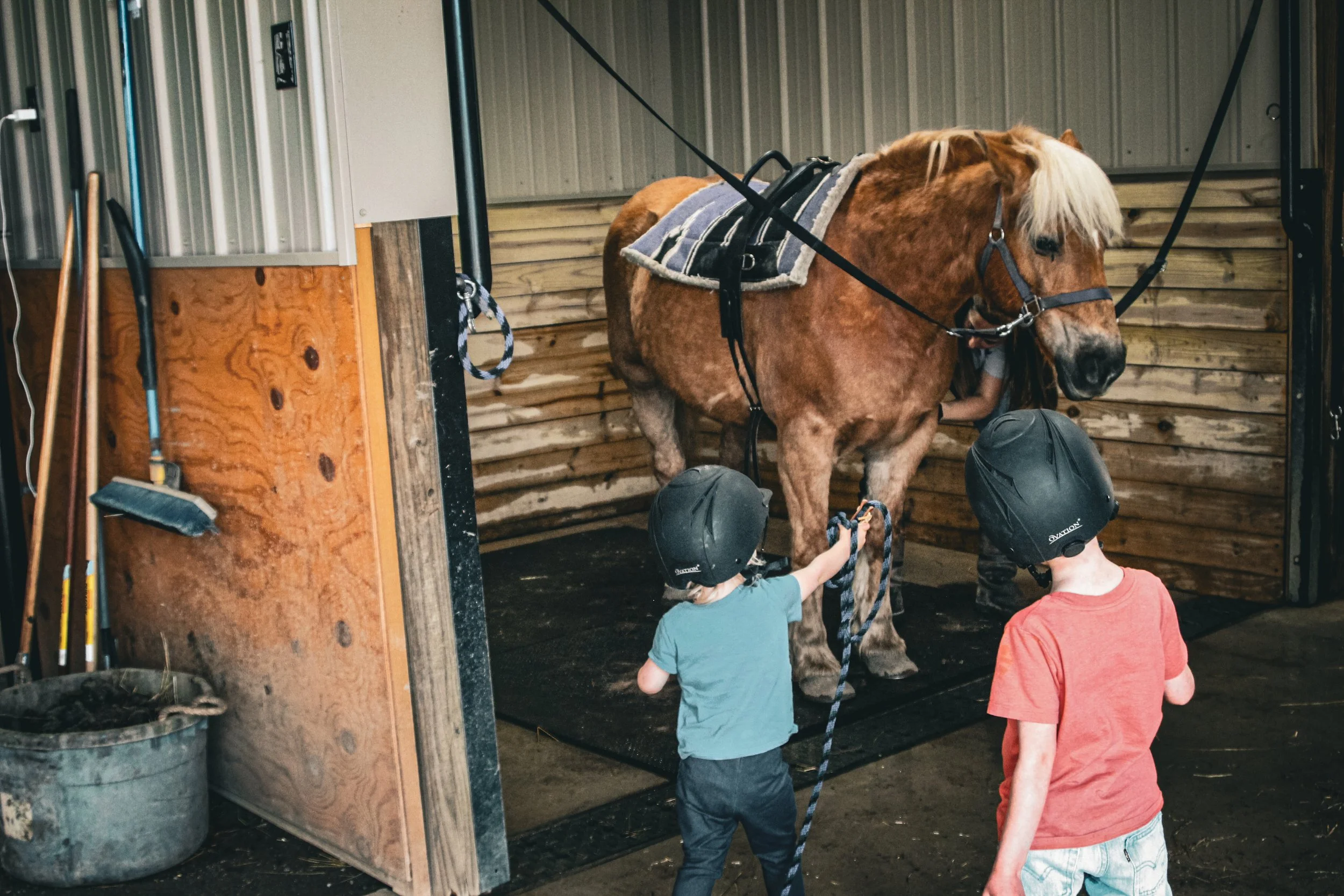 kids summer activities, outdoor, indoor, pet horses, riding arena, horsemanship