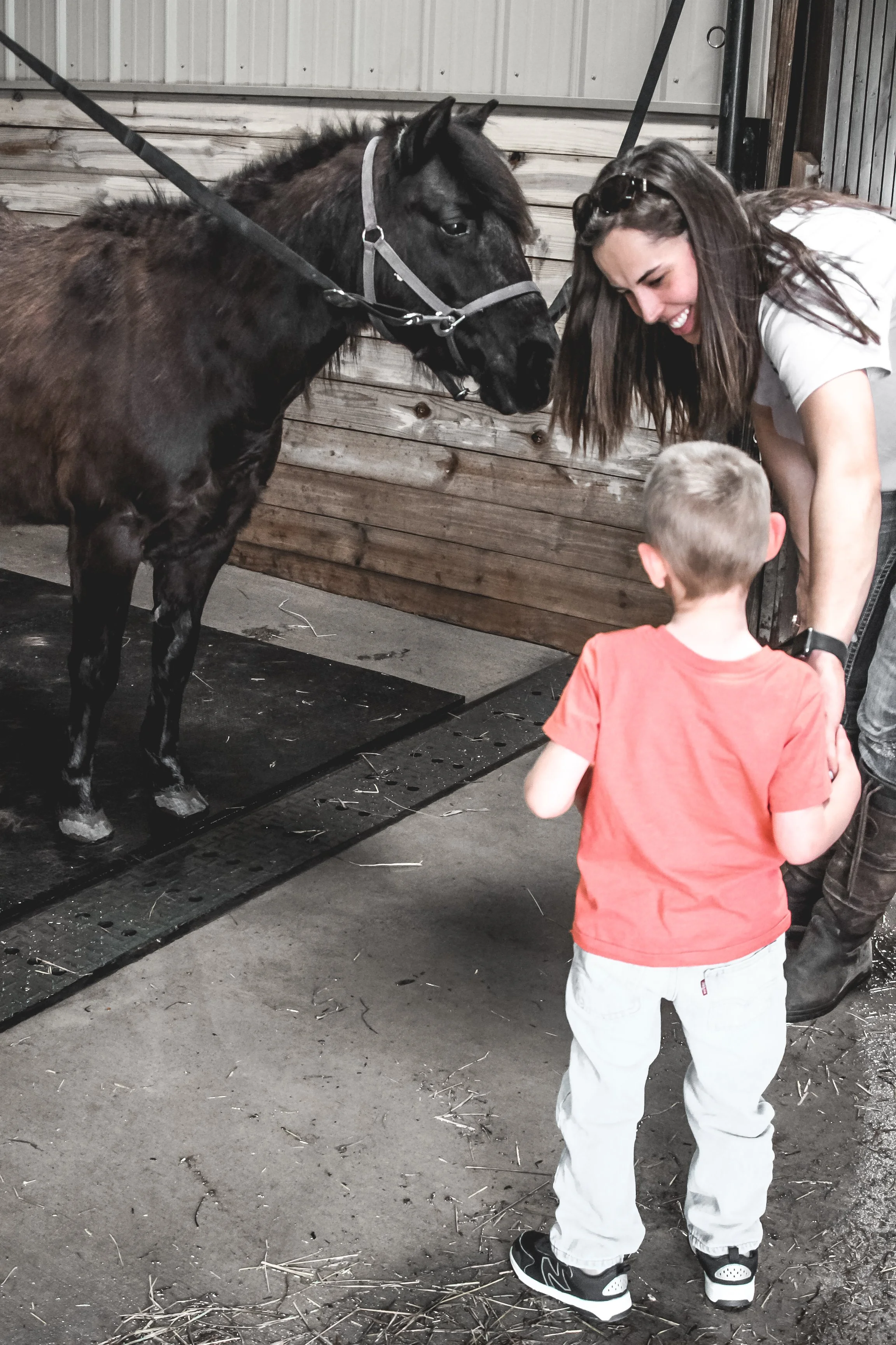horse therapy for anxiety, depression, ptsd, mental health, veterans, special needs, disabilities, build strength, hobby