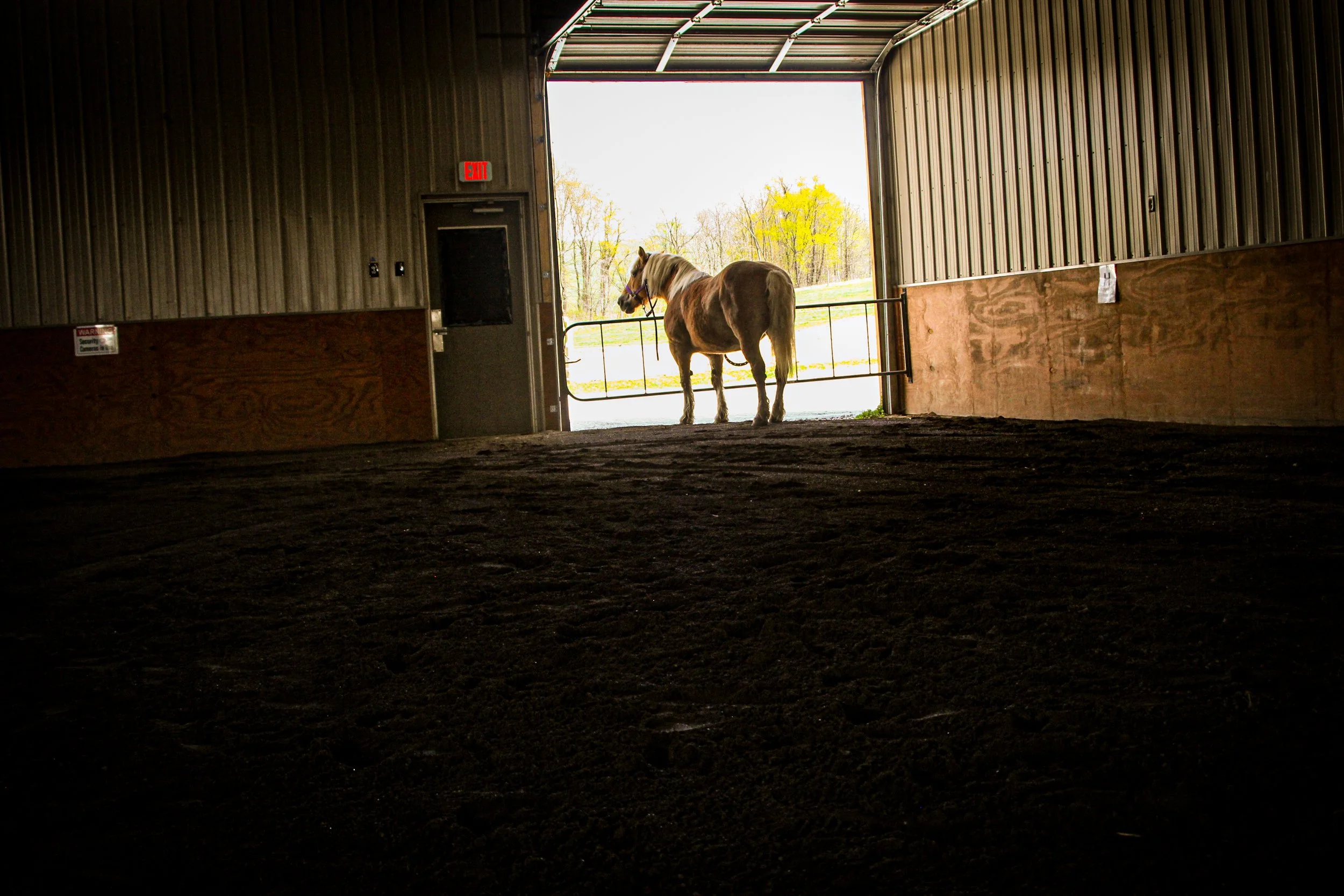 horseback riding lessons, avella PA, independence, washington county, pittsburgh area