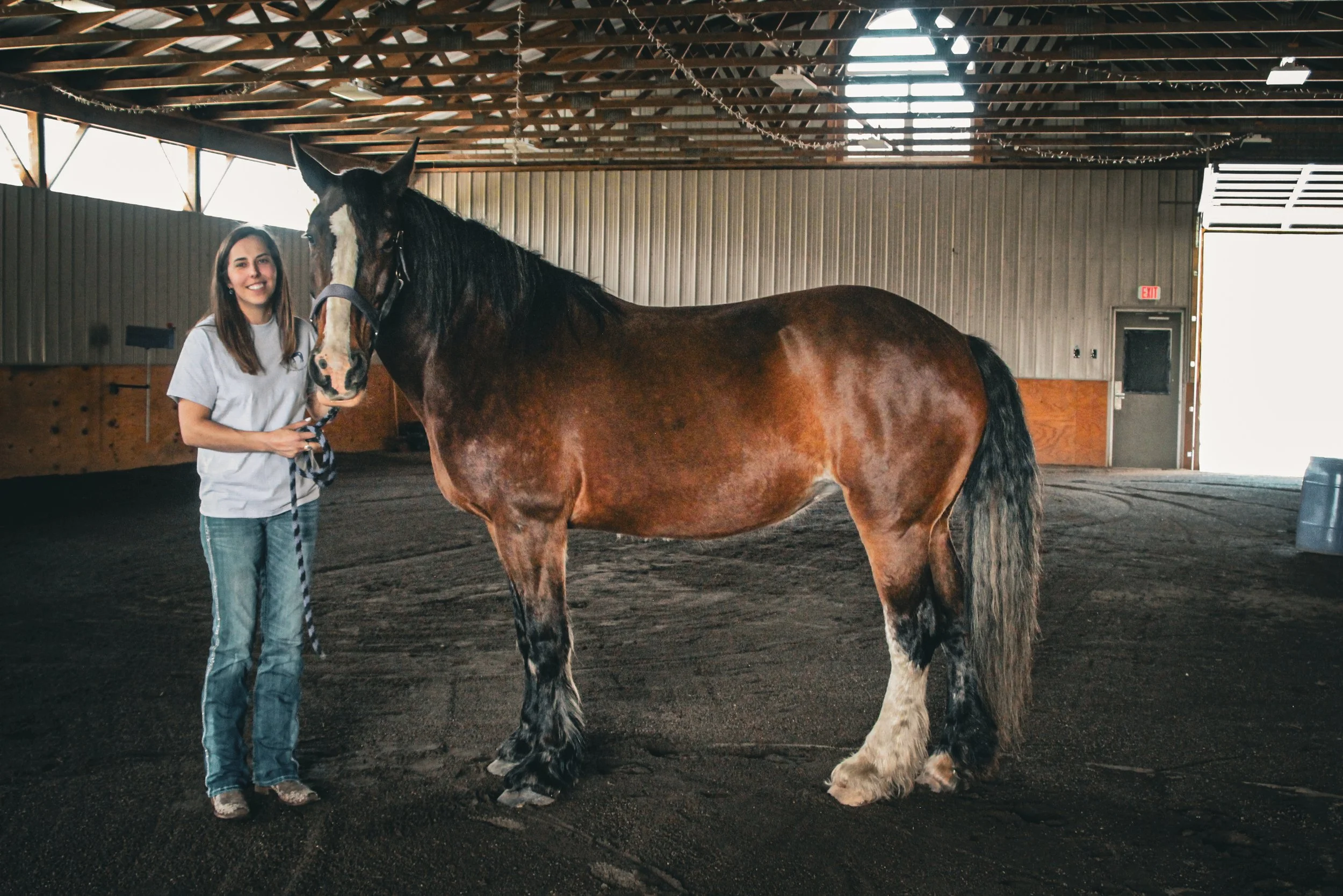 stress relief activity, horse farm, horseback riding, summer activities, events, stables, things to do with kids
