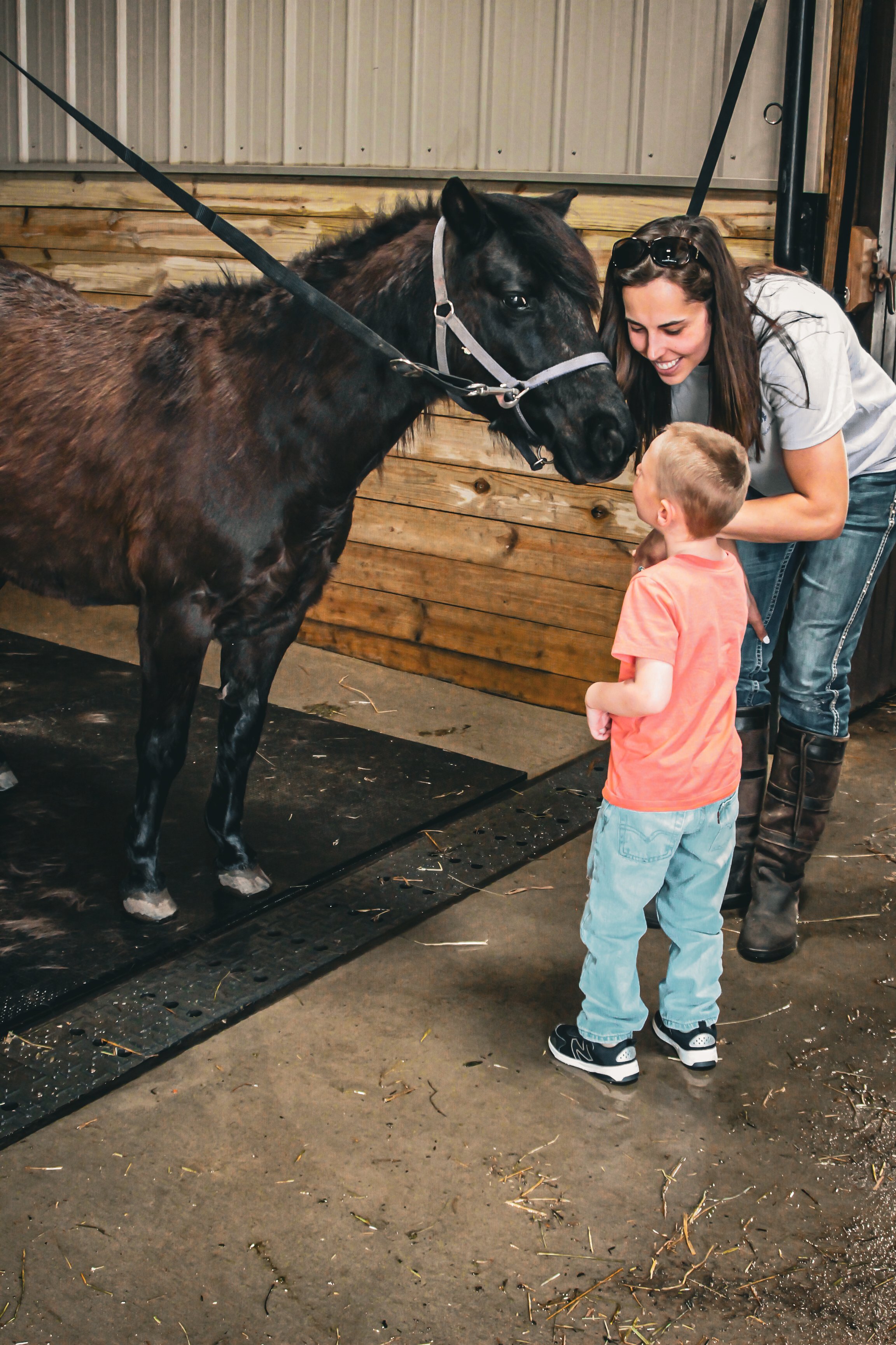 boy petting horse, grooming, horsemanship, kids