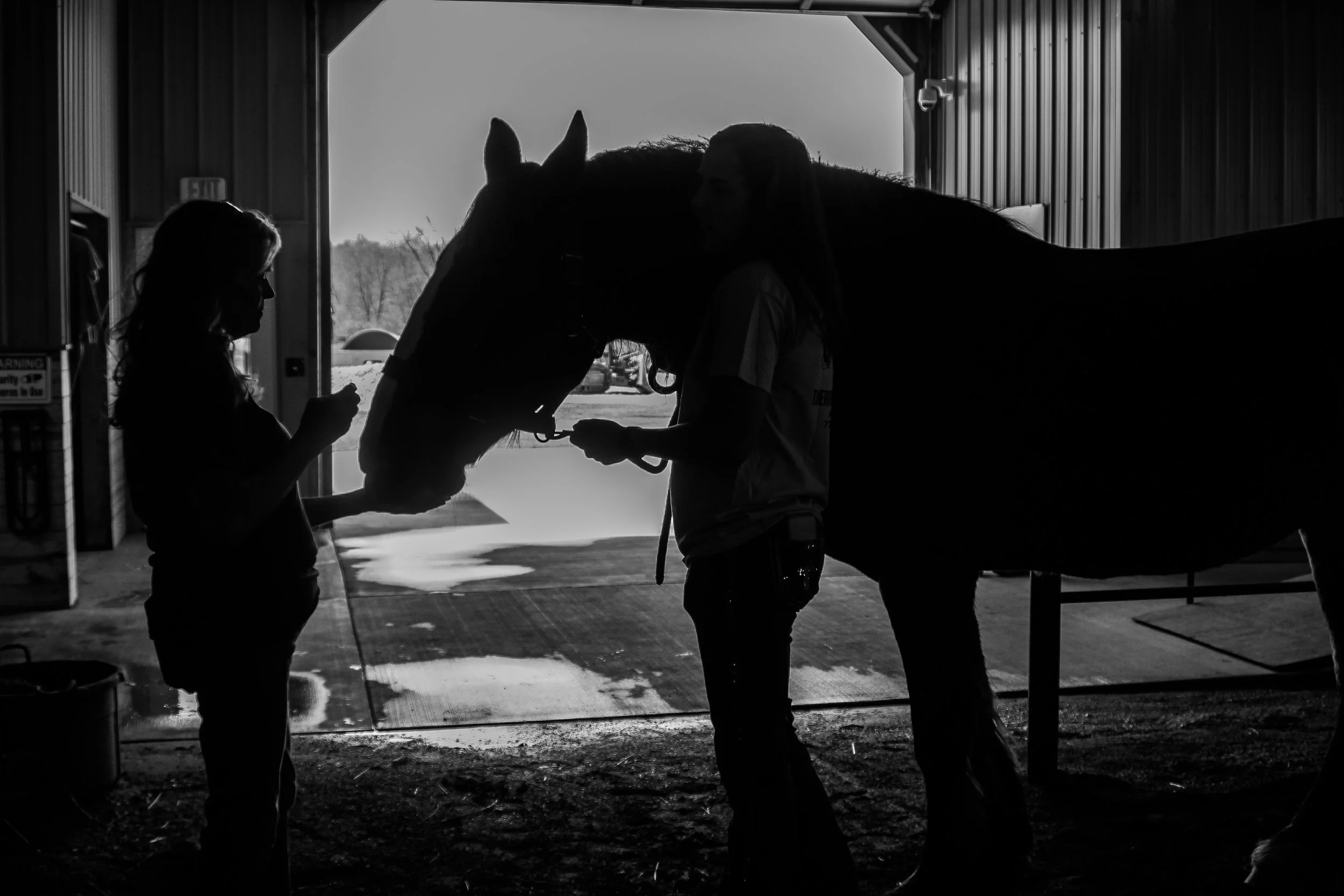 therapeutic horse riding, things to do with kids in avella pa, washington county pennsylvania, bonding with horses