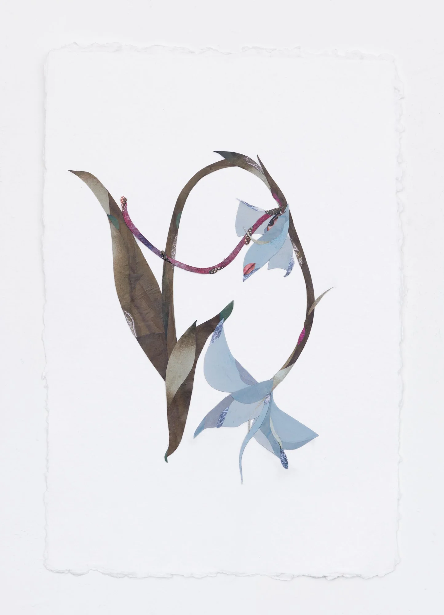 “Flower Study VI (Orchid)” 2025
Collage, ink, watercolor on paper
12.5 x 18.5 inches (32 x 47 cm)