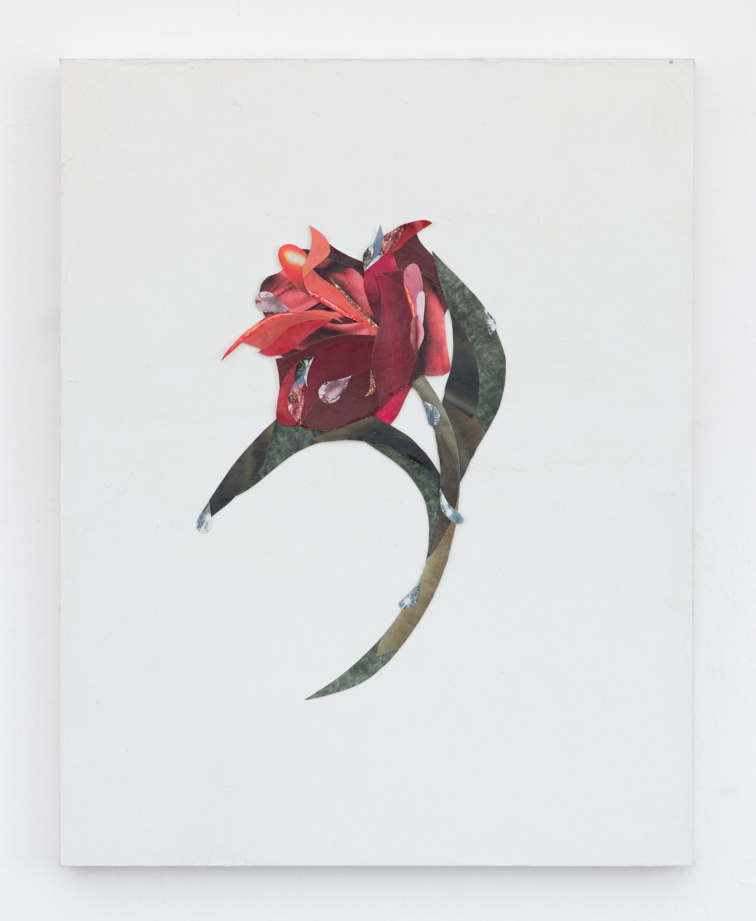 "Flower Studio VIII (Rose)" 2026
Cut paper, ink, collage on board
12.5 x 18.5 inches (32 x 47 cm)