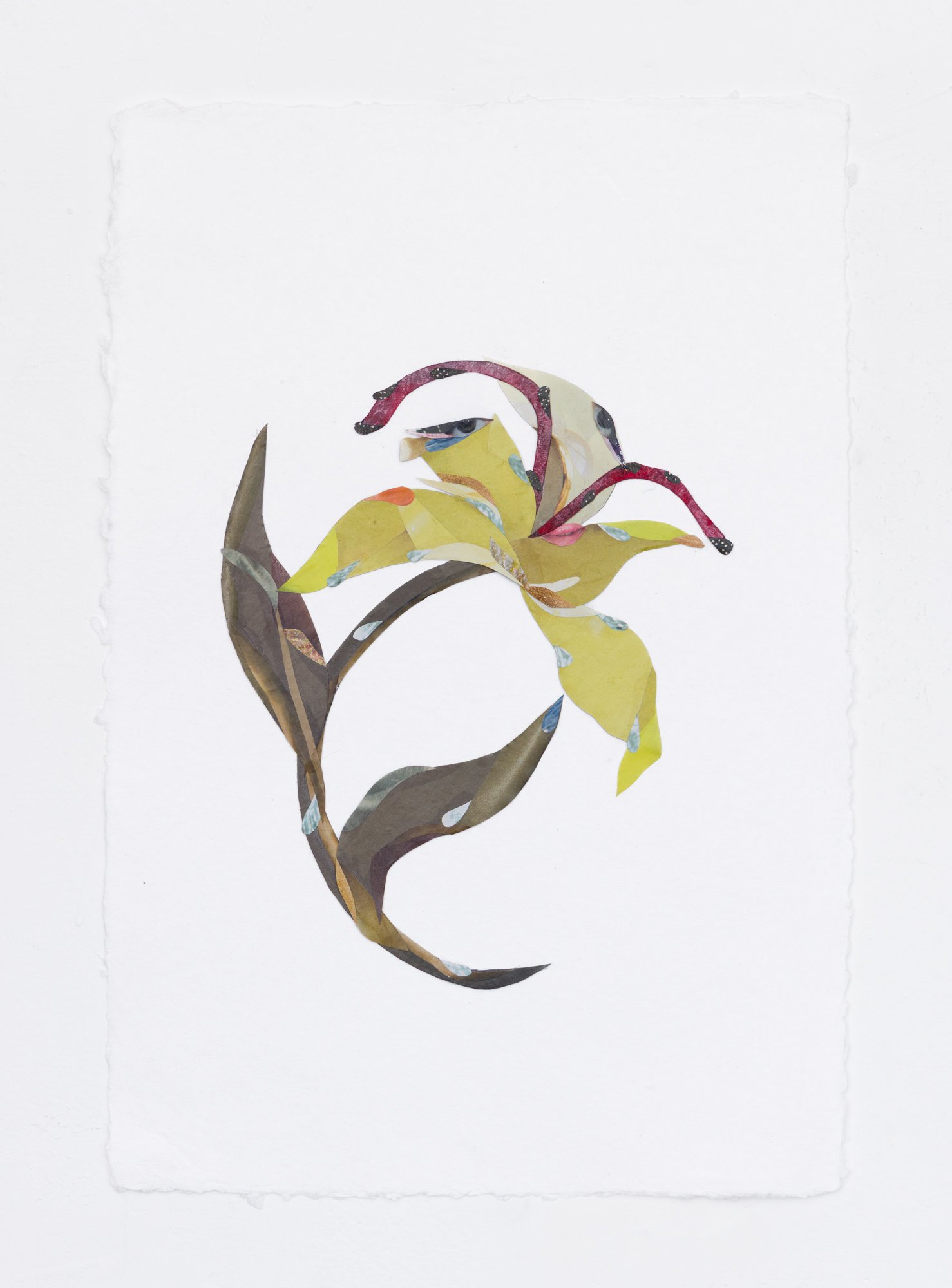 “Flower Study III (Daffodil)” 2025
Collage, ink, watercolor on paper
12.5 x 18.5 inches (32 x 47 cm)