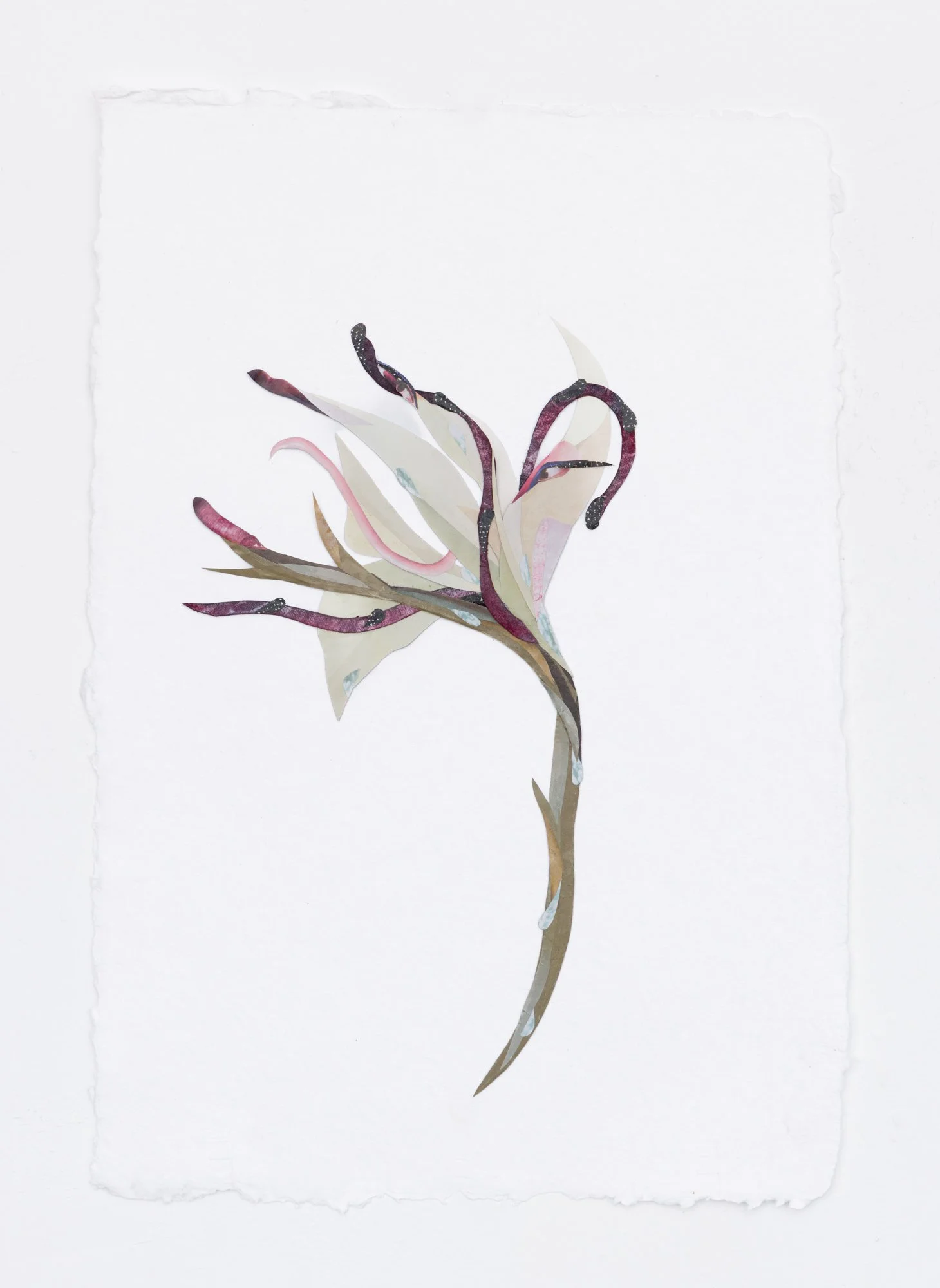 “Flower Study II (Lily)” 2025
Collage, ink, watercolor on paper
12.5 x 18.5 inches (32 x 47 cm)