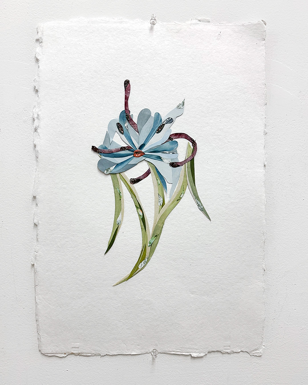 “Flower Study IV (Daisy)” 2025
Collage, ink, watercolor on paper
12.5 x 18.5 inches (32 x 47 cm)