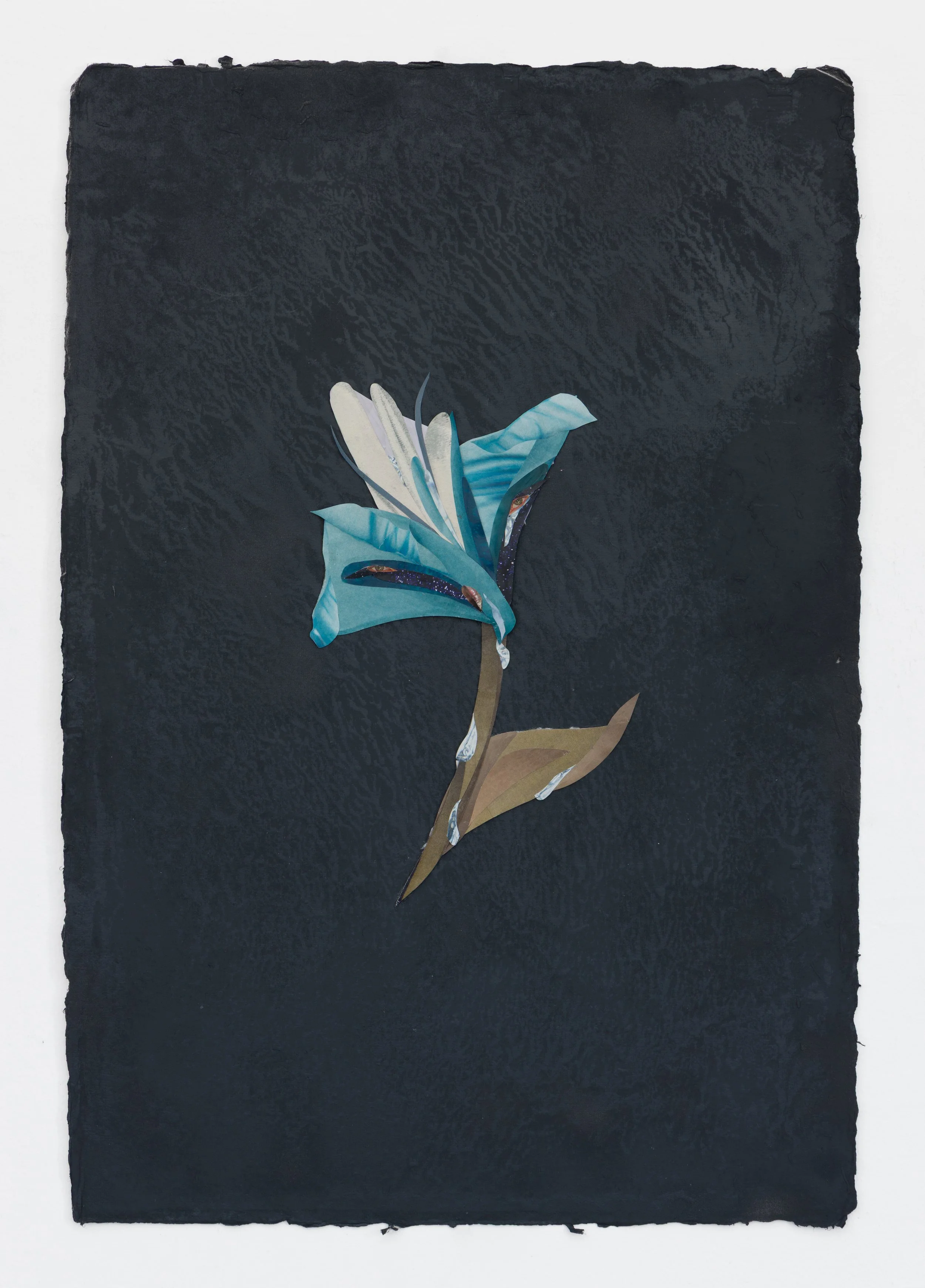 "Night Bloom" 2026
Cut paper, spray paint, collage on paper
12.5 x 18.5 inches (32 x 47 cm)
