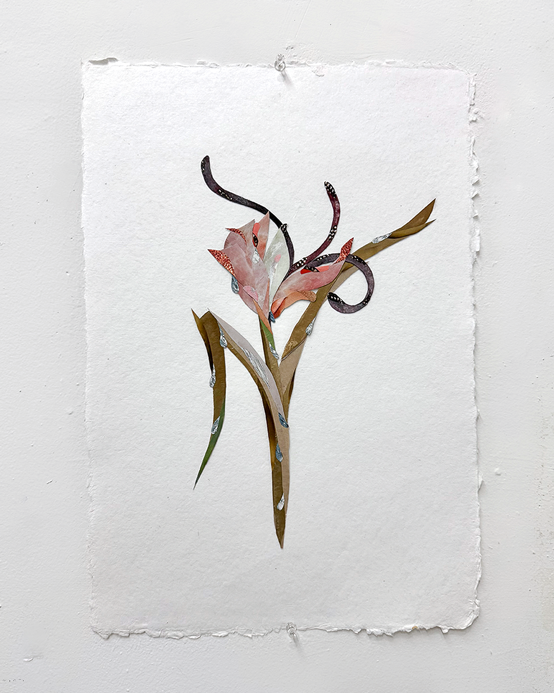 “Flower Study I (Tulip)” 2025
Collage, ink, watercolor on paper
12.5 x 18.5 inches (32 x 47 cm)