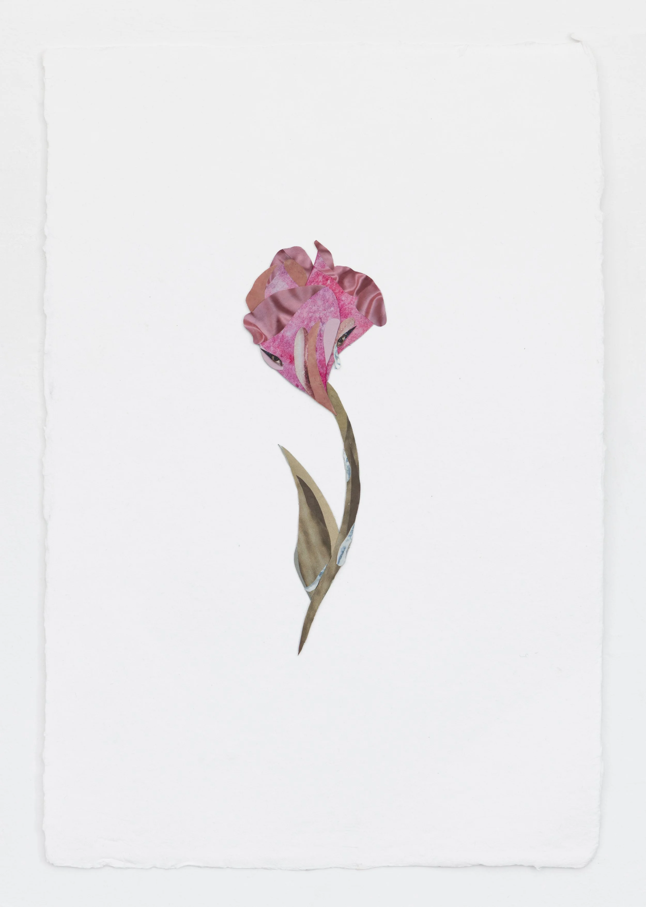 "Flower Study VII (Tulip)" 2026
Cut paper, collage, ink on paper
12.5 x 18.5 inches (32 x 47 cm)
